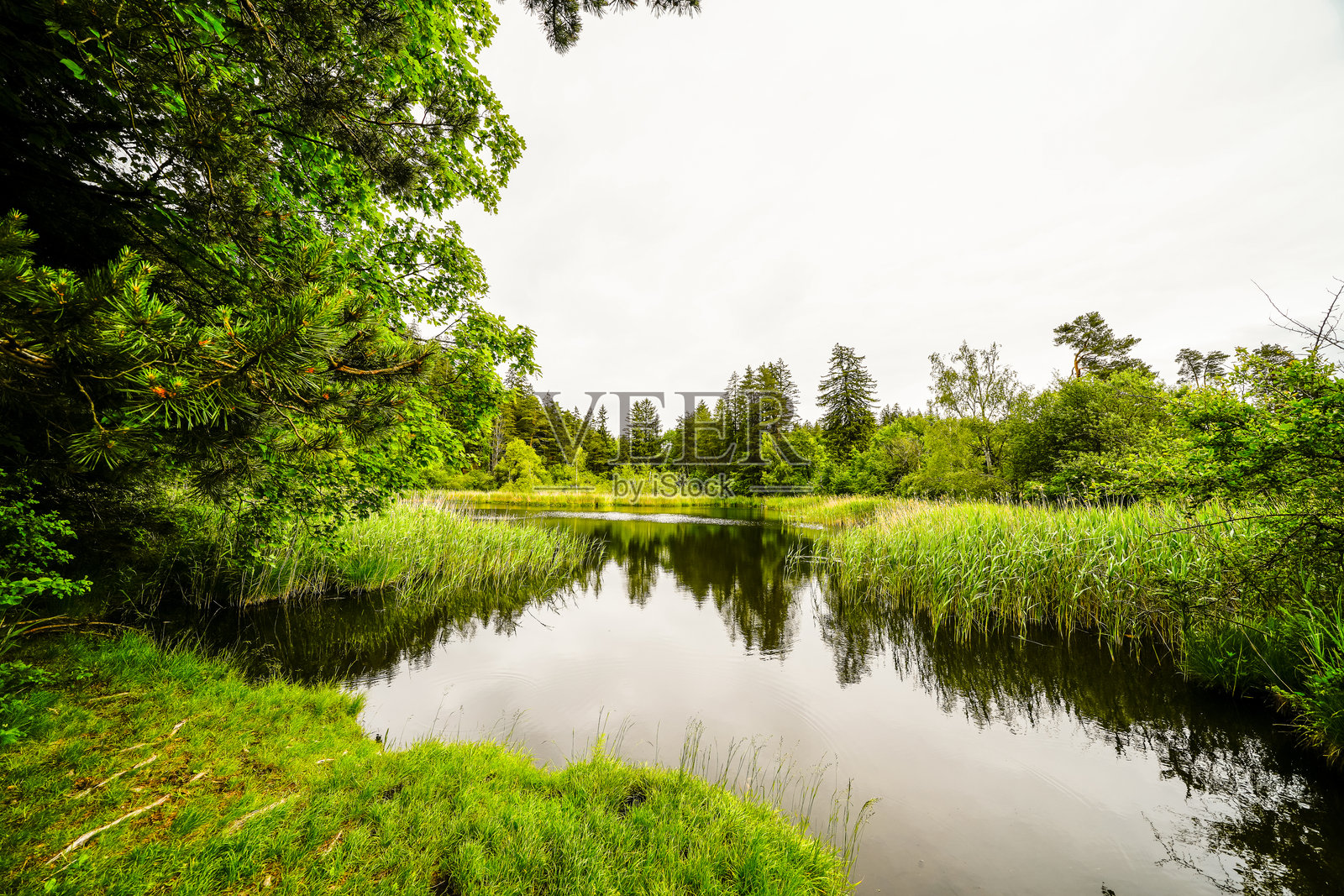 蒂罗尔州兰斯市的帕施山上的兰瑟沼泽景观。小池塘与周围自然环境。水边的风景。照片摄影图片
