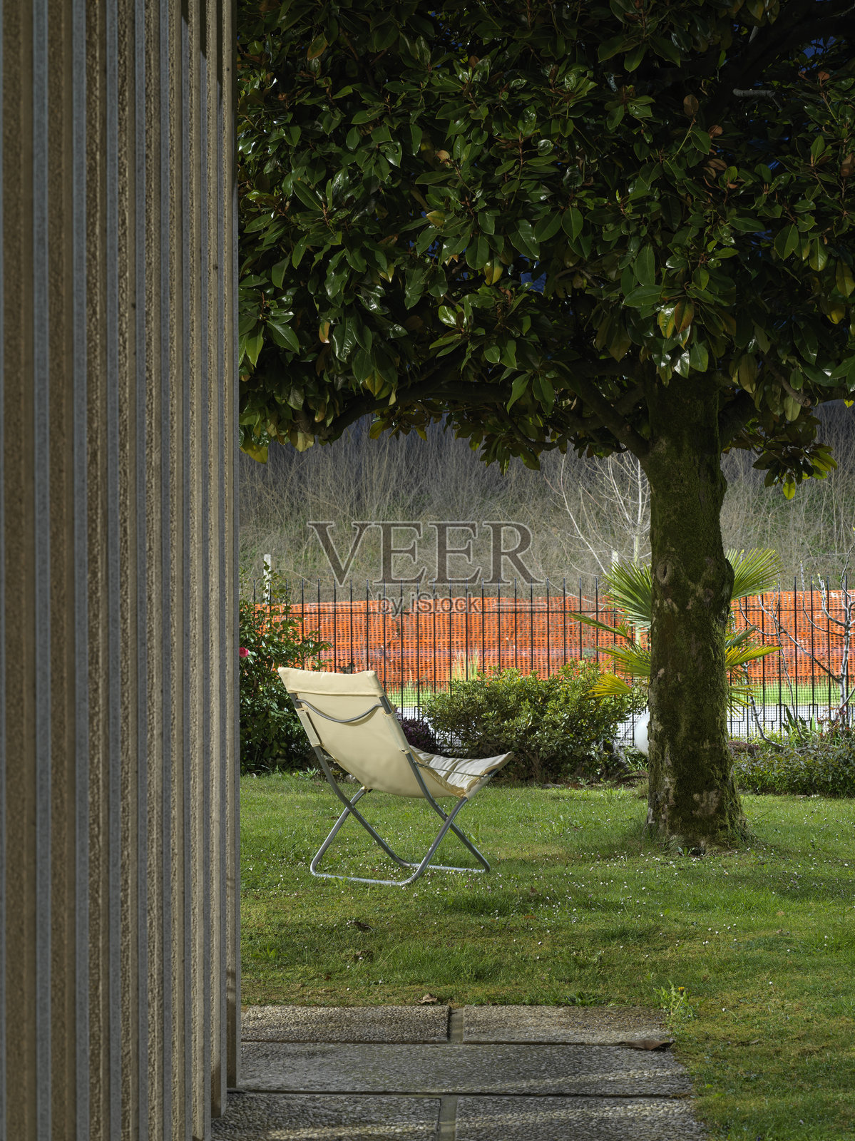 一把躺椅靠在一棵玉兰树下的特写镜头照片摄影图片