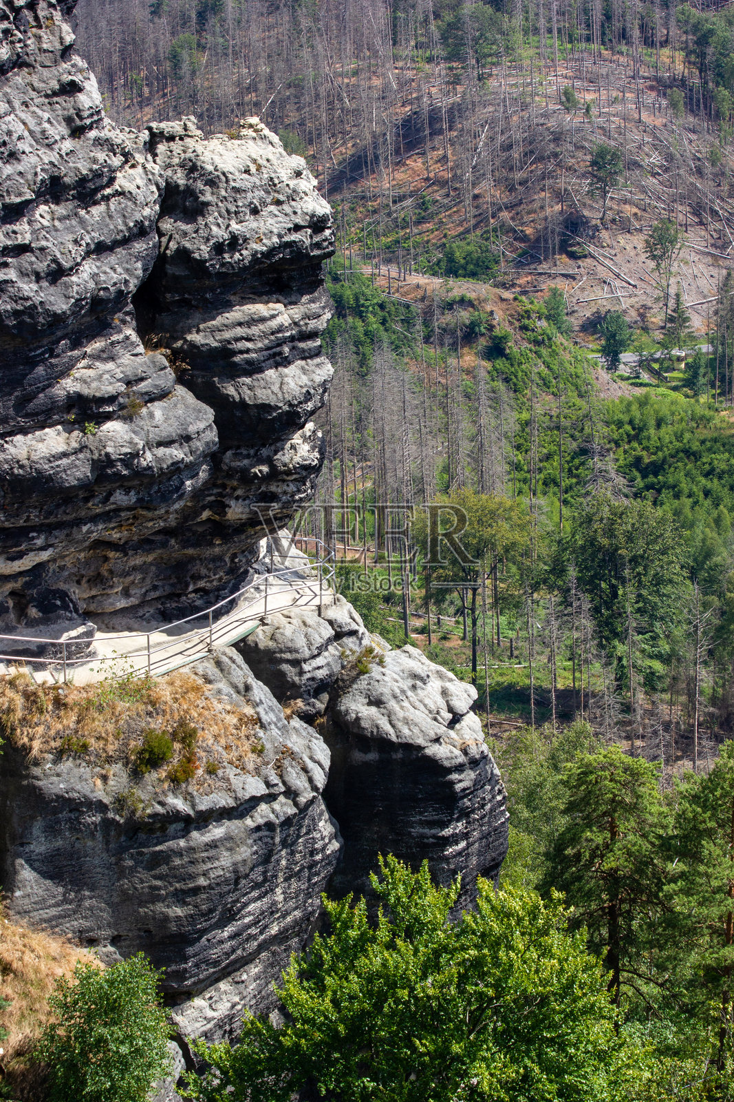 绿色树木背景下的大型多层岩石照片摄影图片