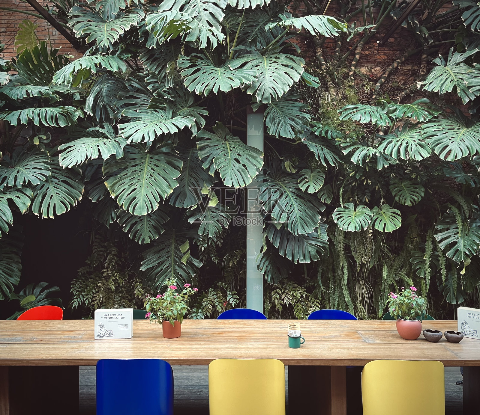 空荡荡的咖啡馆桌子，配有五彩斑斓的椅子和热带装饰照片摄影图片