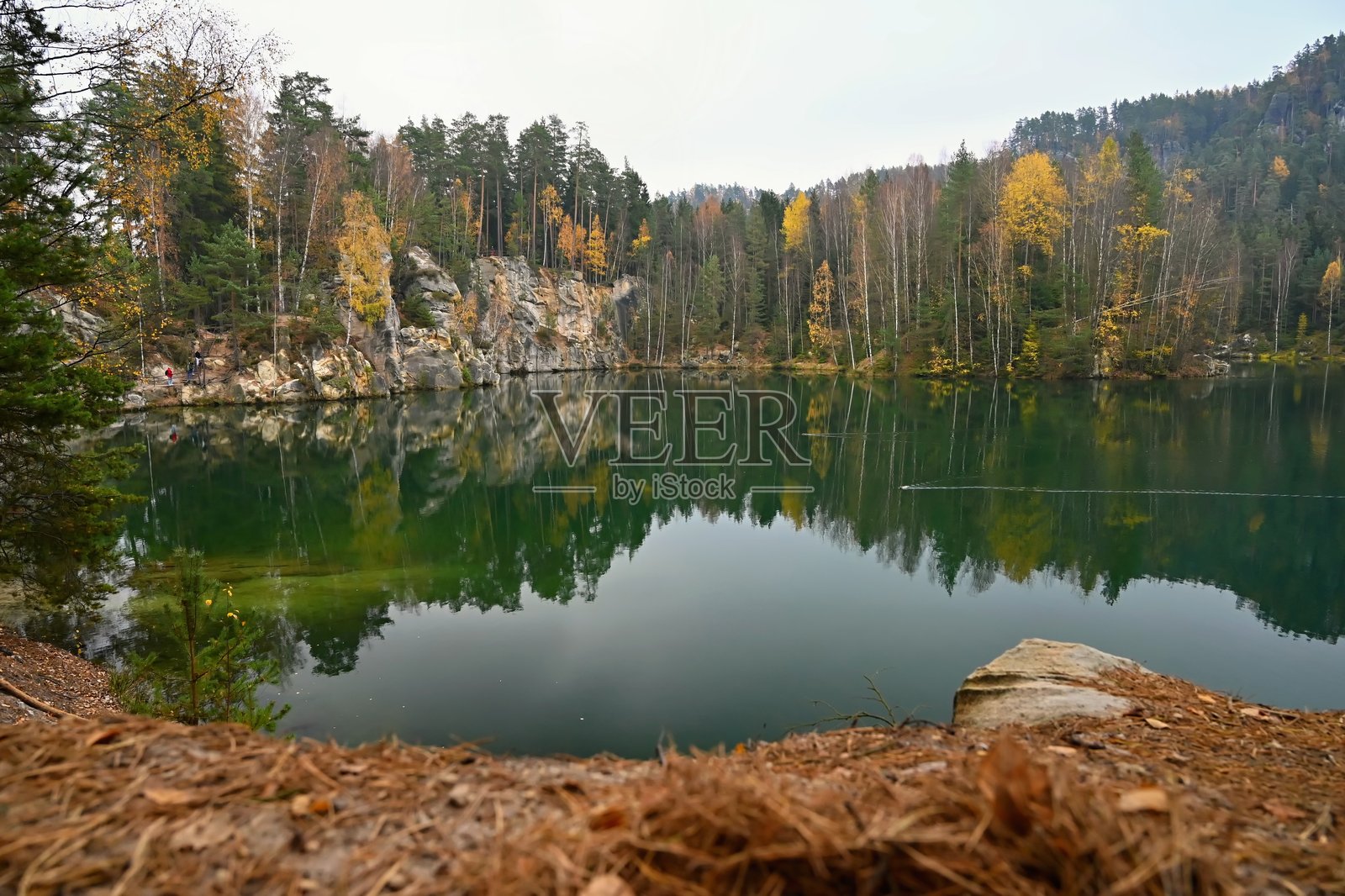 阿德尔斯帕赫 - 岩石小镇。自然公园 - 捷克共和国。森林中的砂岩大石头和岩石。秋季风景。照片摄影图片