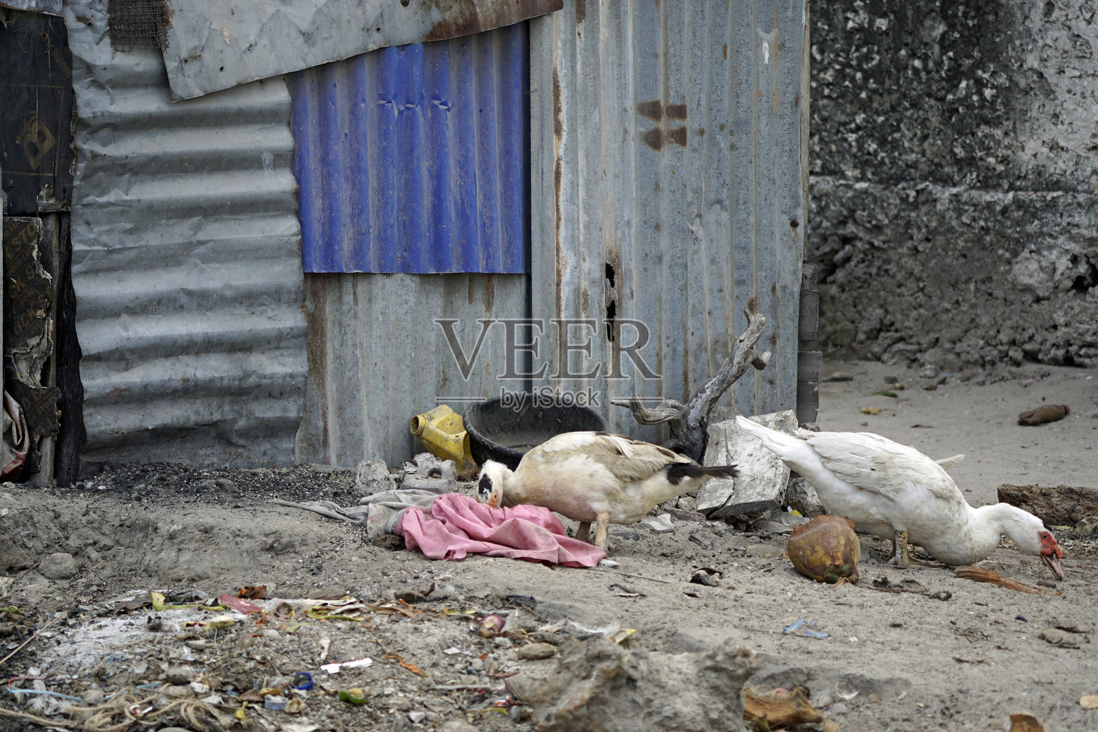 赞比亚建筑照片摄影图片