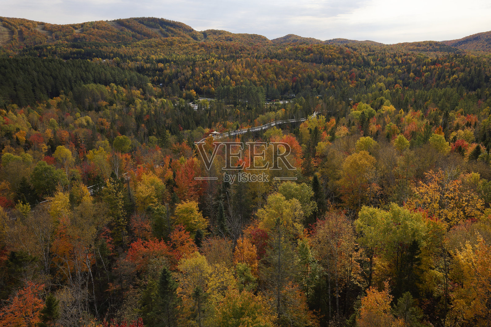 魁北克的La Haut树顶步道是一段非凡的体验，尤其是在秋天，当森林变成五彩斑斓的万花筒时。这条木质树顶步道旨在让游客沉浸在自然环境的美丽之中。照片摄影图片
