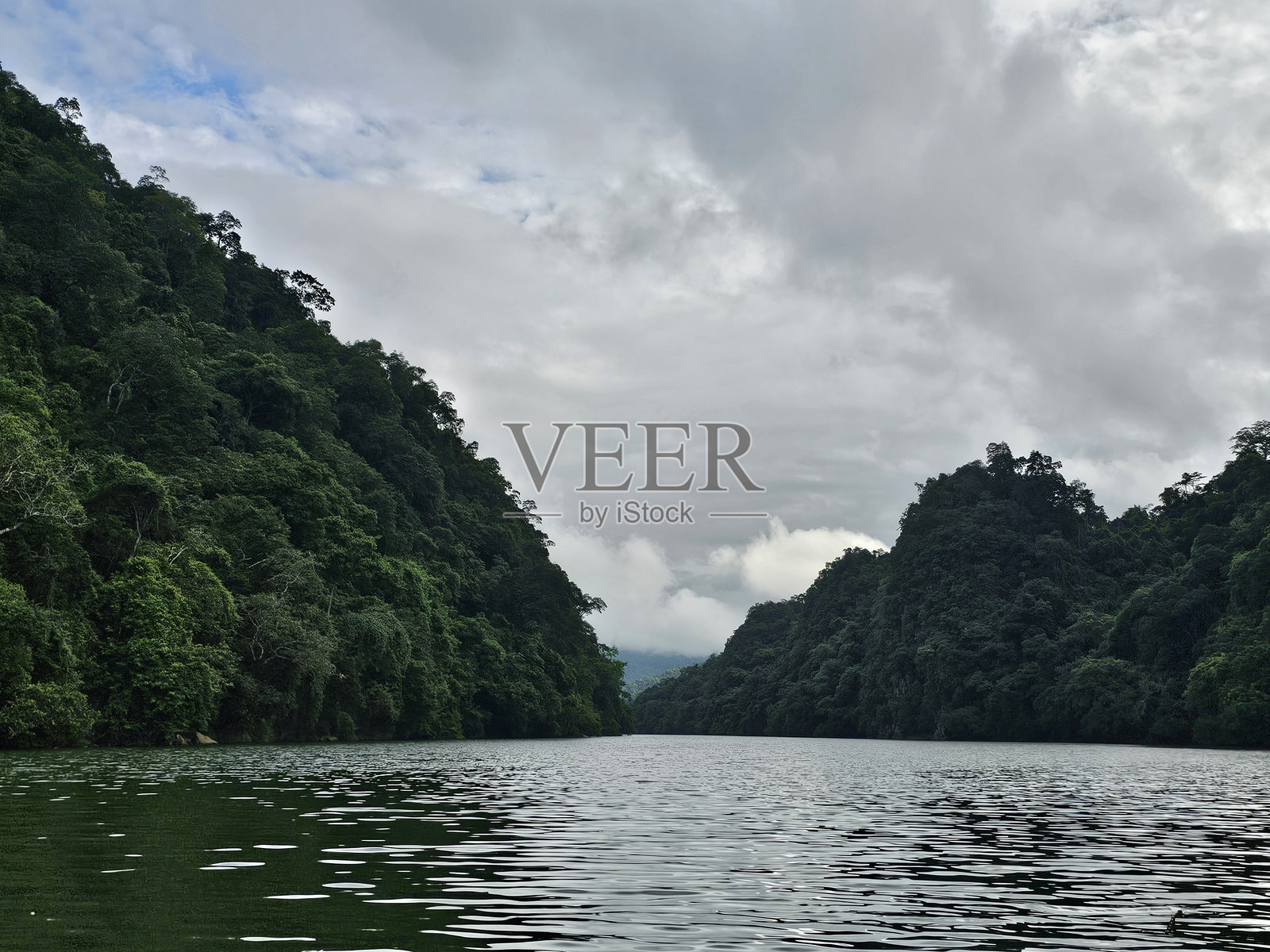森林山丘与阴云密布的天空下的宁静水面照片摄影图片