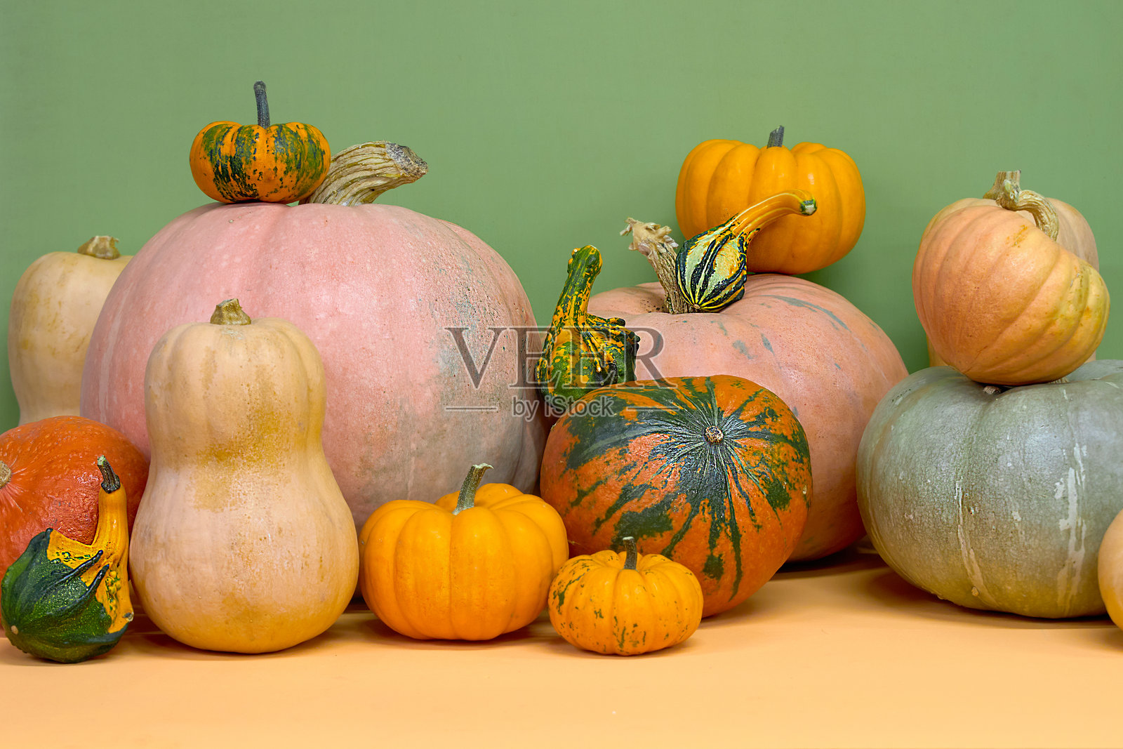 秋季静物，包含不同大小和颜色的南瓜 选择不同大小的南瓜和葫芦照片摄影图片