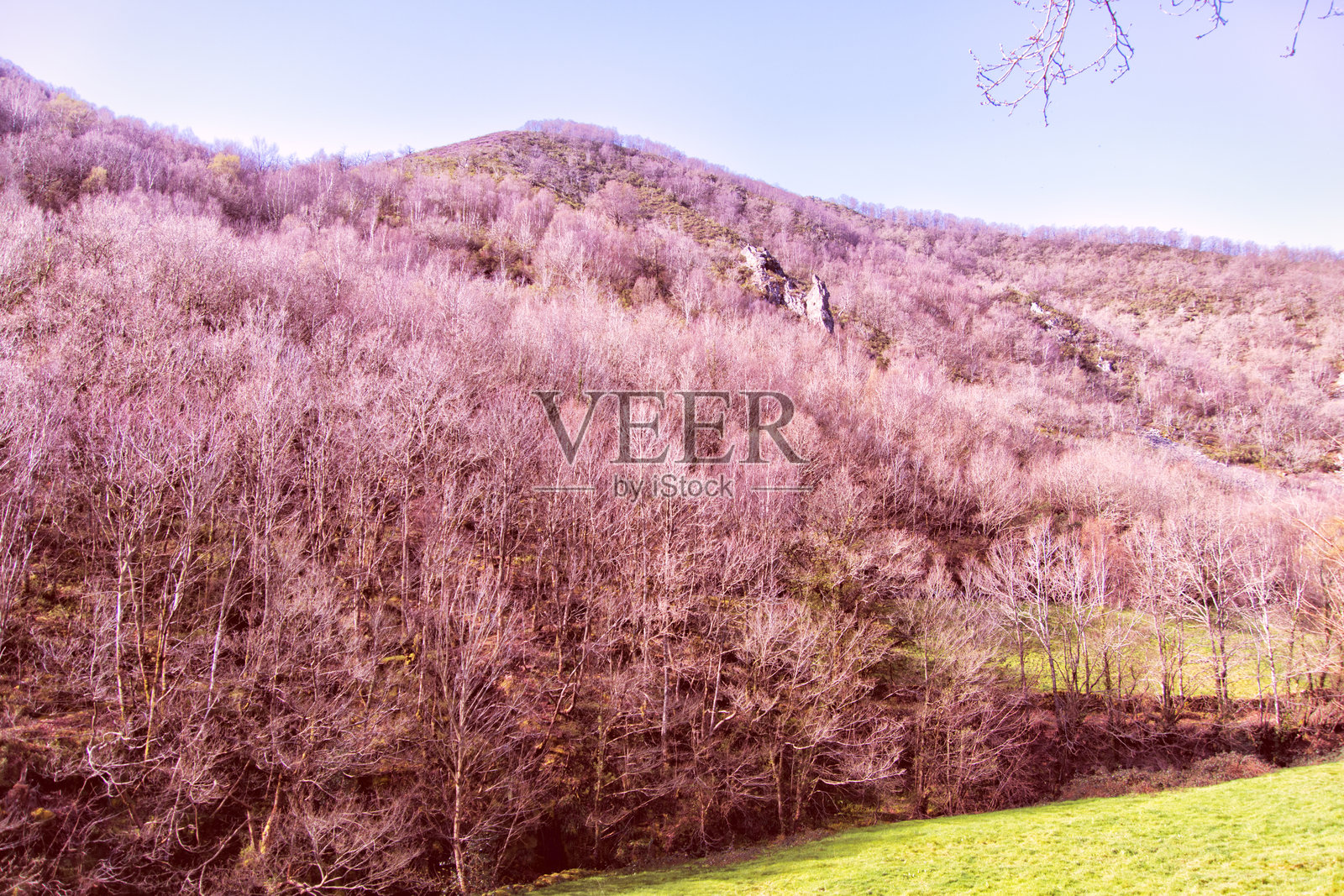 颜色照片摄影图片