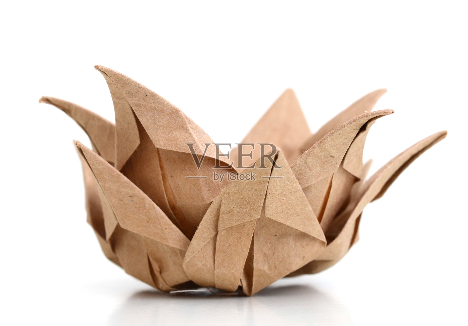 莲花纸照片摄影图片