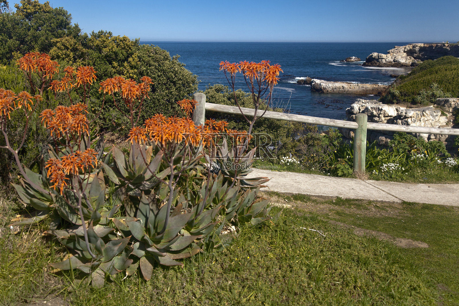 赫尔曼努斯的悬崖小径照片摄影图片
