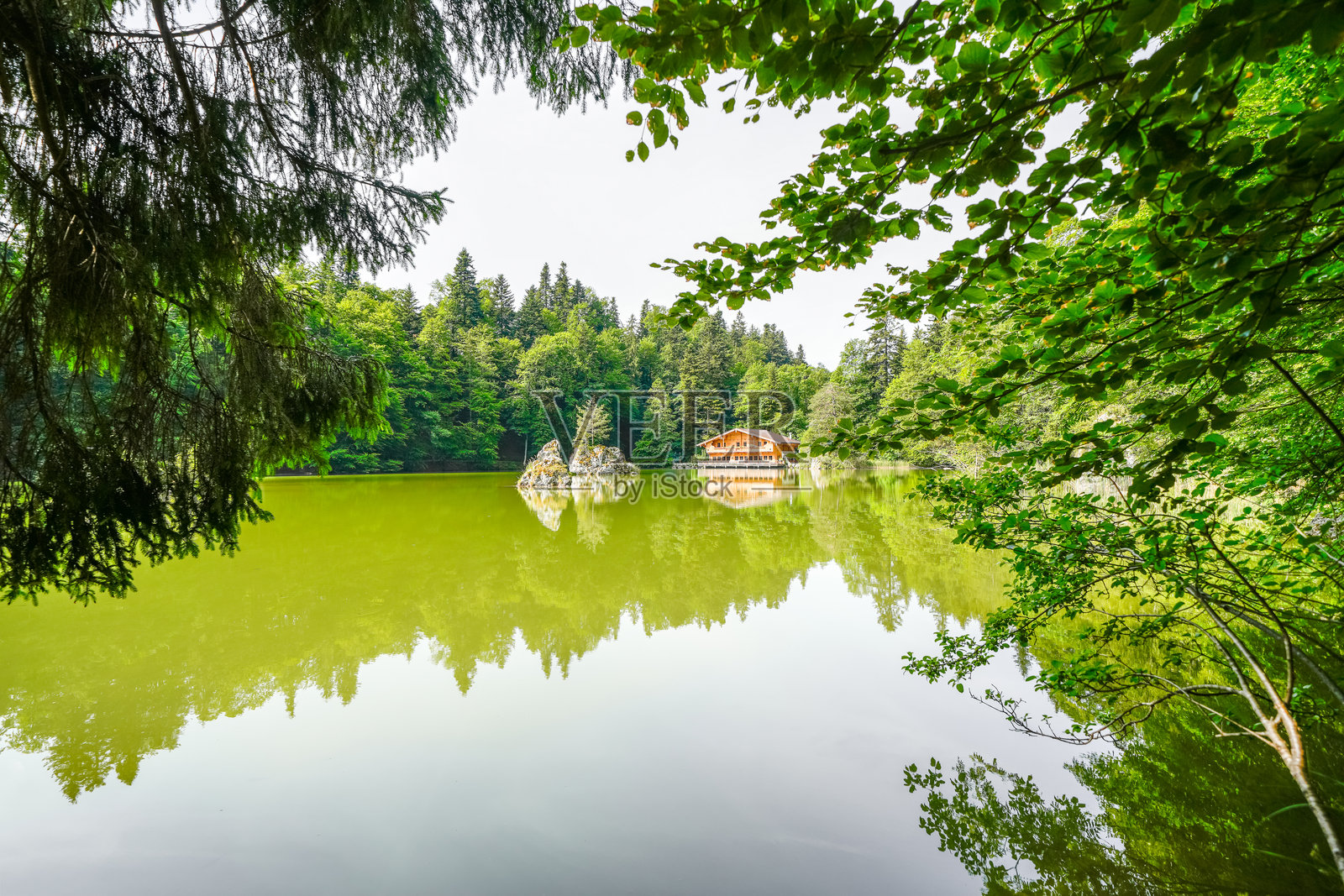 贝尔格尔施泰因湖的景色，周围环绕着绿色自然。阿尔卑巴赫谷的田园山湖，位于蒂罗尔州库夫施泰因附近。奥地利的风景。照片摄影图片