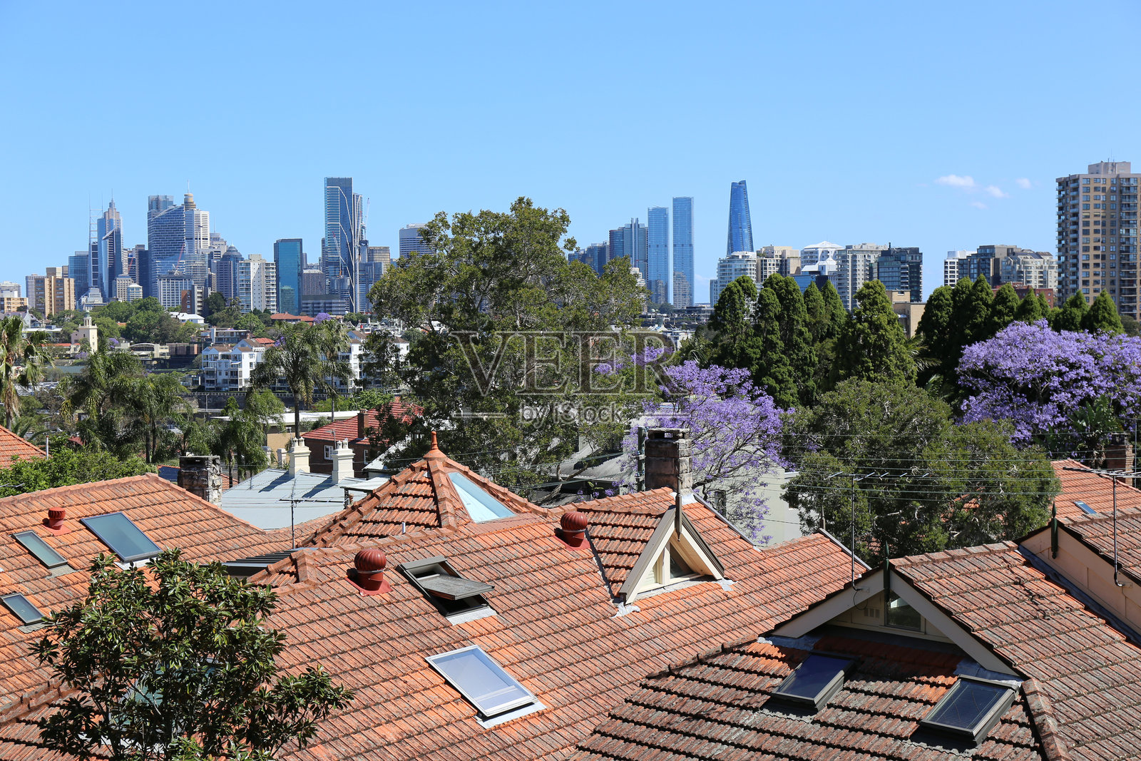 晴朗的阳光下,从中立湾俯瞰悉尼中央商务区。照片摄影图片