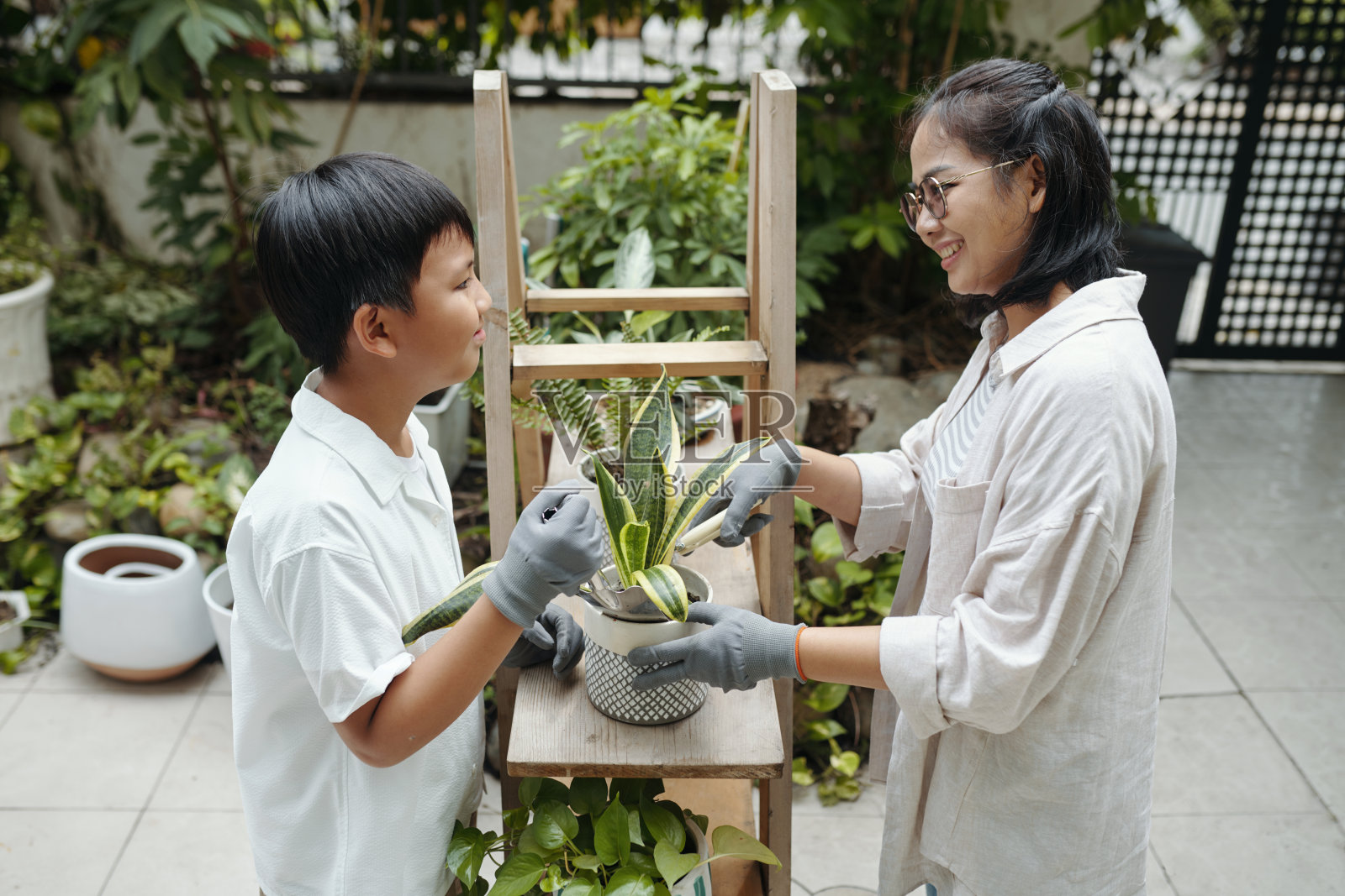 在后院一起享受园艺乐趣照片摄影图片