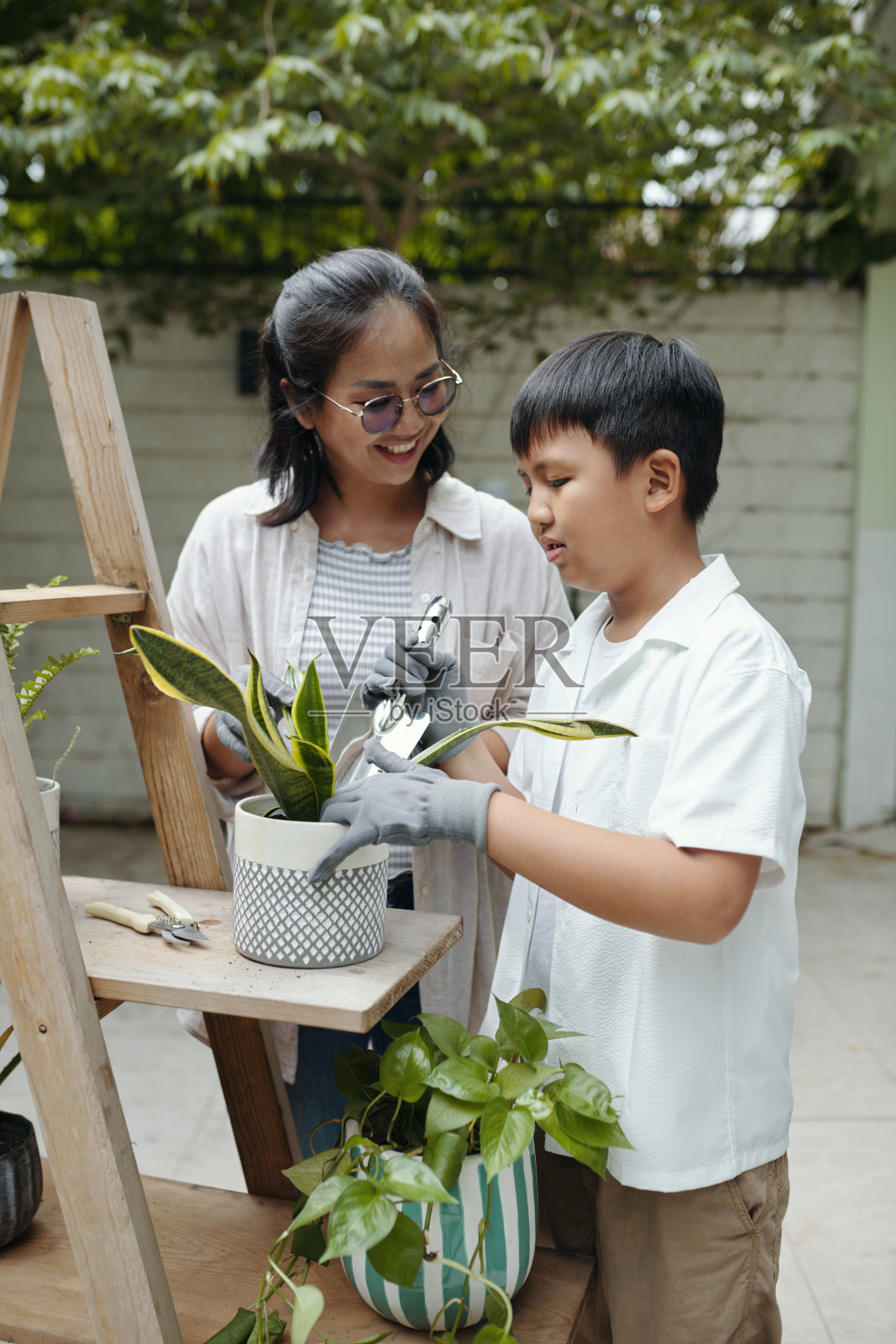在阳光明媚的天空下与母亲一起园艺照片摄影图片