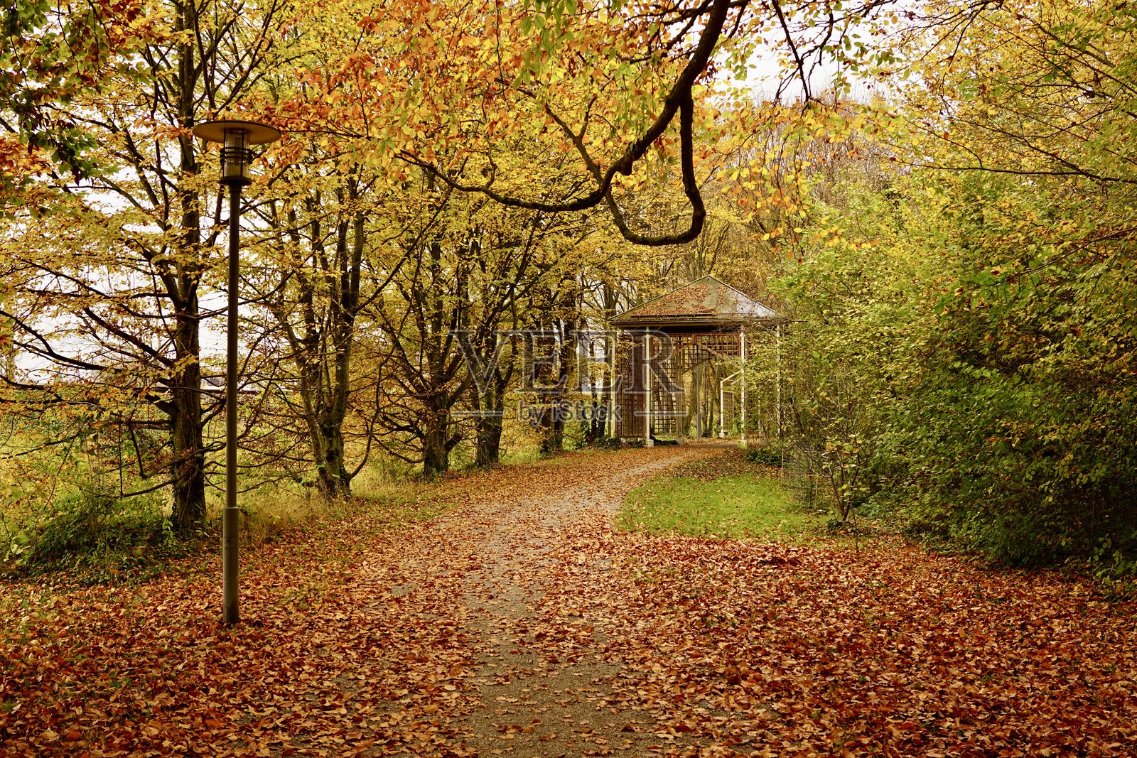 欧洲的秋天。秋天的色彩。德国的秋天。秋天的公园。巴德艾比灵的库尔公园秋景。照片摄影图片