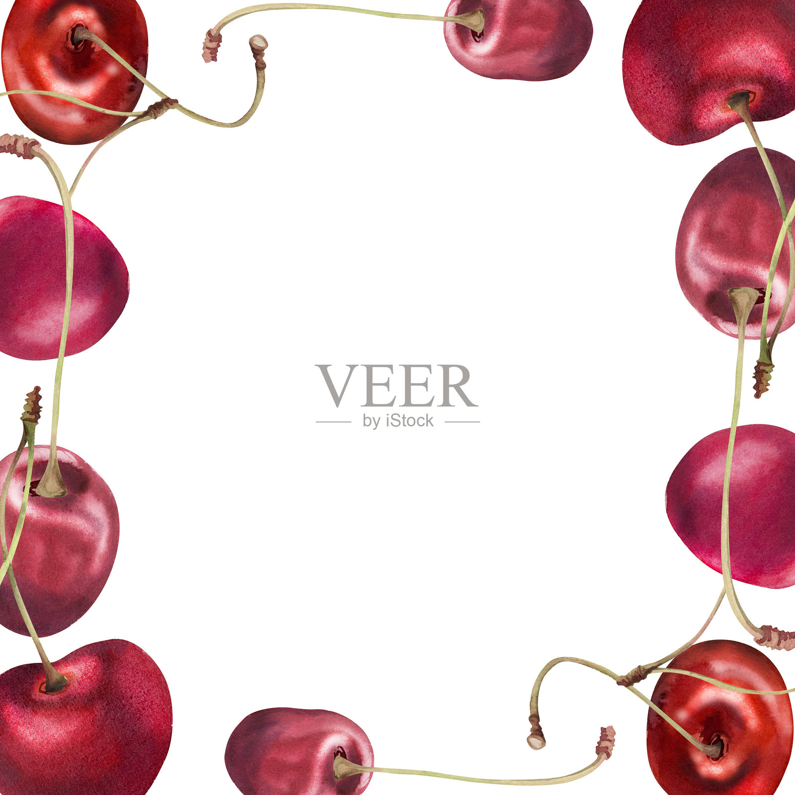 手绘的甜酸红樱桃浆果，带有果梗，水彩风格，散落的成熟樱桃。白色背景上的边框插图。适用于餐厅、咖啡馆甜点菜单、婚礼、农贸市场。插画图片素材
