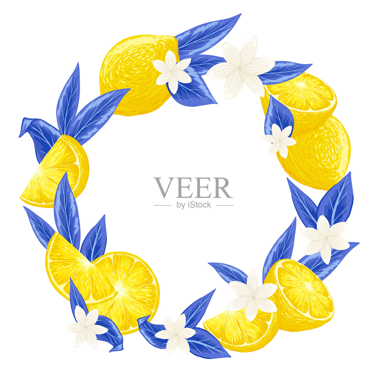 带有柠檬、蓝色叶子、白色花朵和文本框的矢量圆形框架插画图片素材