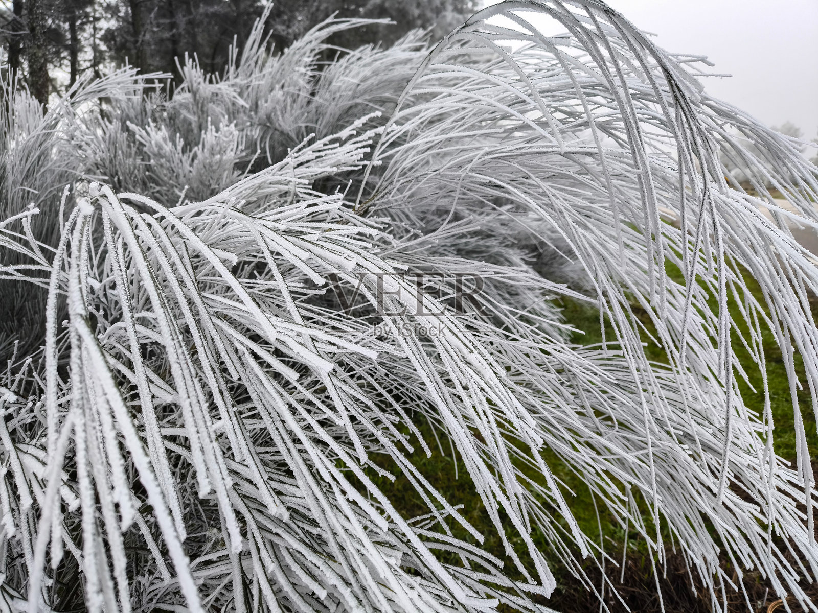 冬季风景照片摄影图片