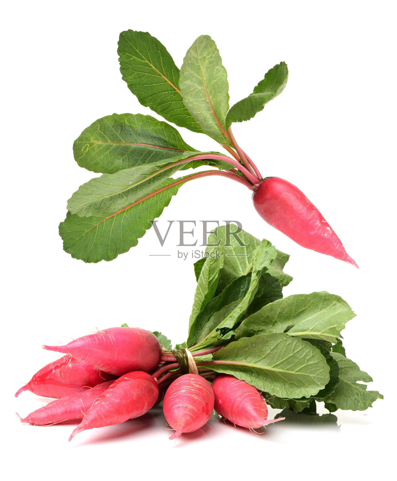 新鲜的萝卜照片摄影图片