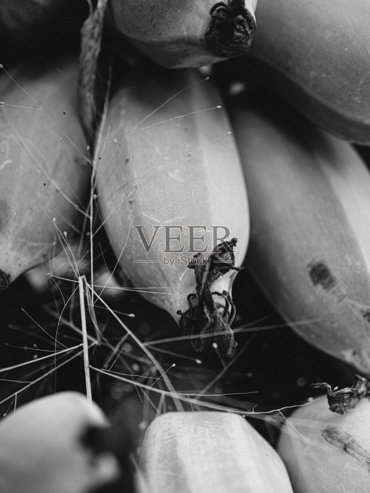 香蕉特写照片摄影图片