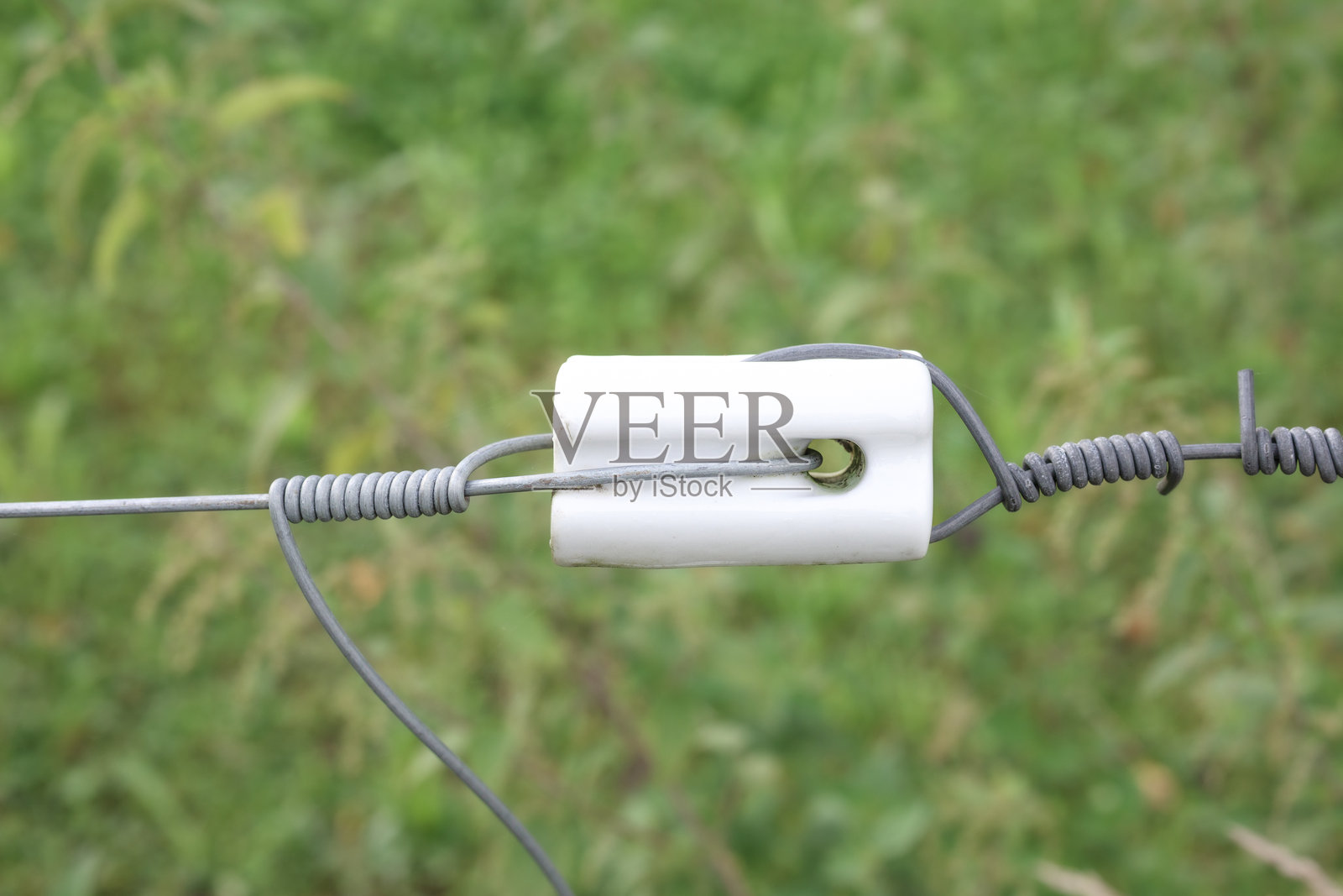 动物牧场用电围栏绝缘子。照片摄影图片