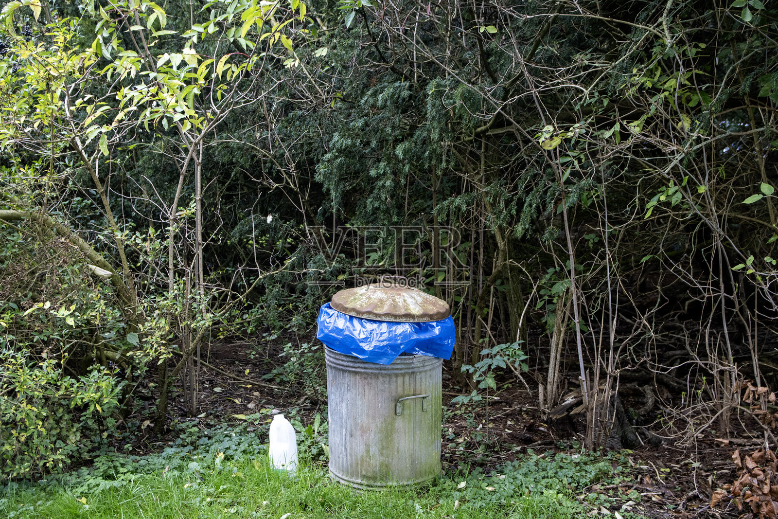 花园垃圾桶照片摄影图片