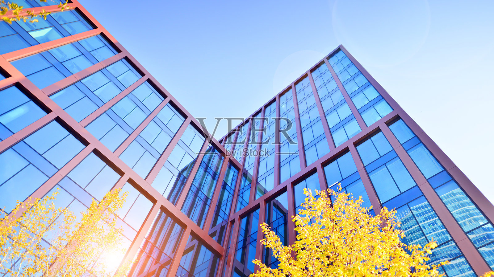 可持续的玻璃办公大楼，配有树木以减少二氧化碳。照片摄影图片