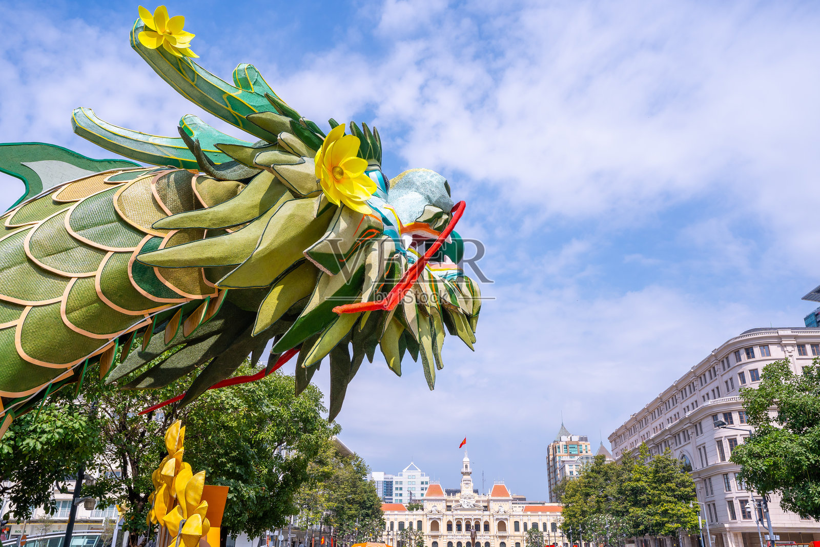 越南农历新年。人们穿着越南传统的奥黛，在街上与黄花杏和龙的装饰合影，庆祝春节。照片摄影图片