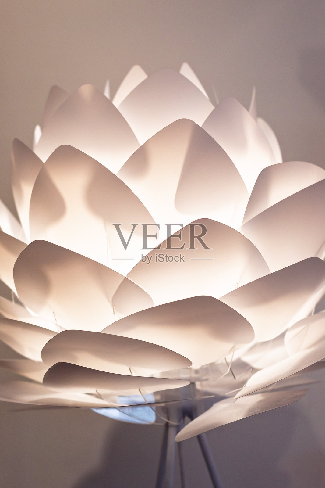 用纸花瓣制成的锥形花朵照片摄影图片