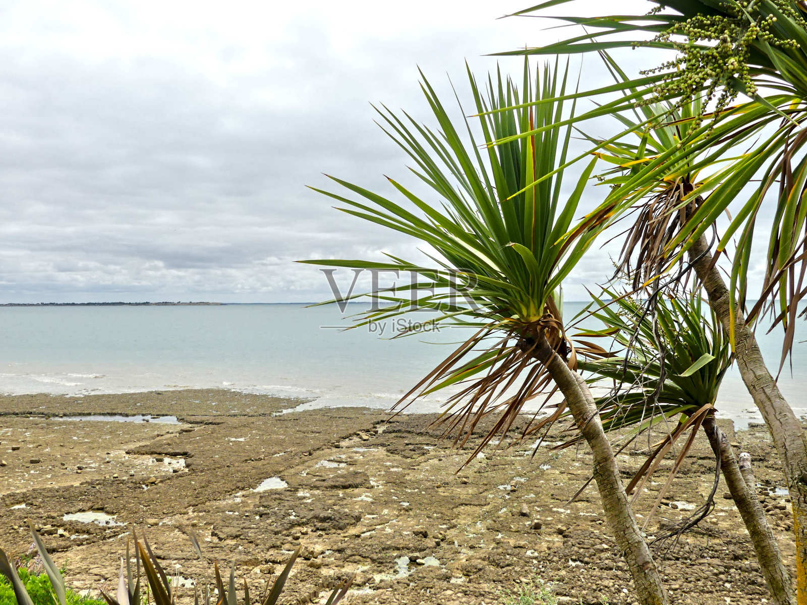 海滩的景色照片摄影图片