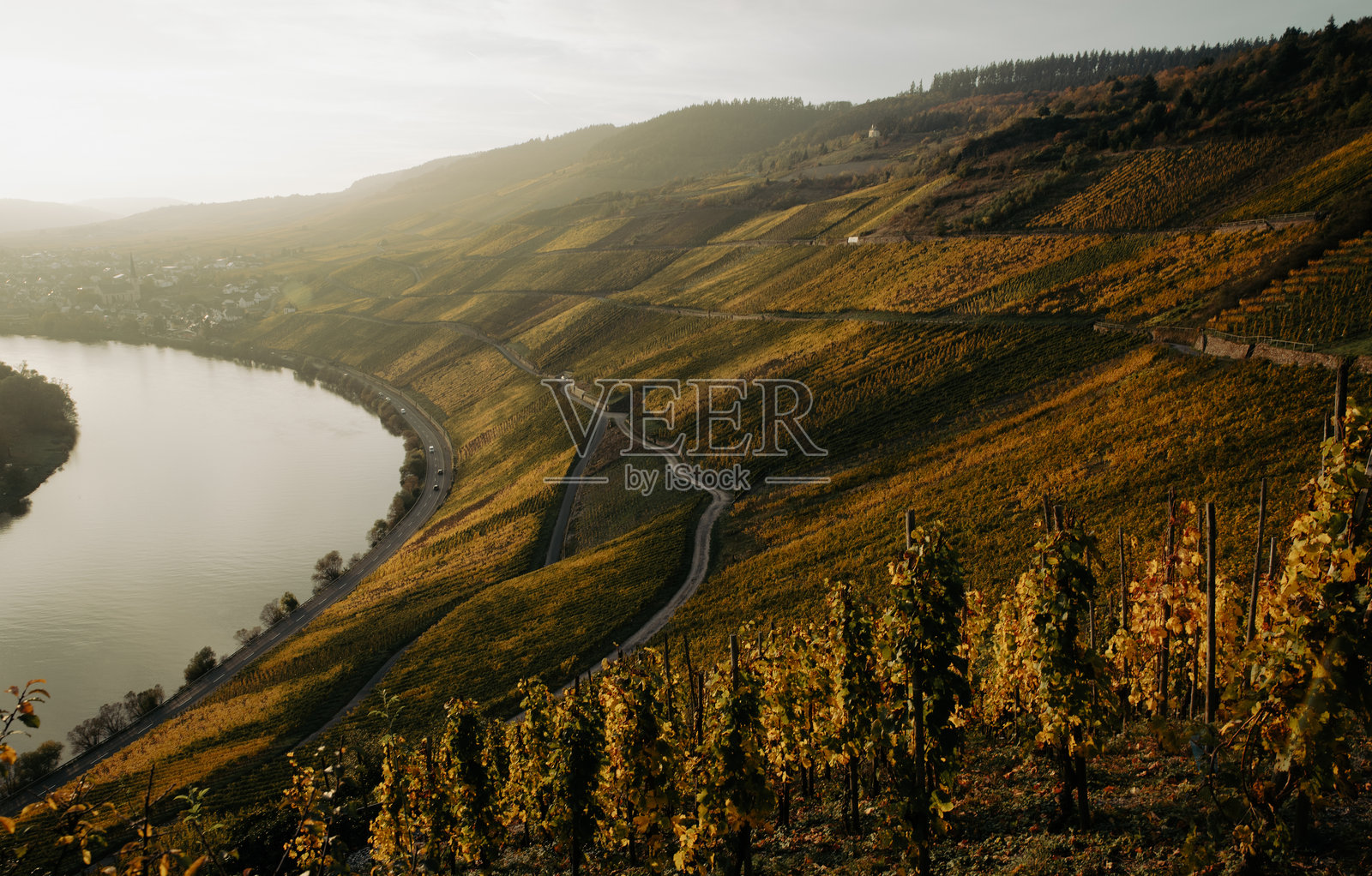德国秋季葡萄种植区旅行照片摄影图片