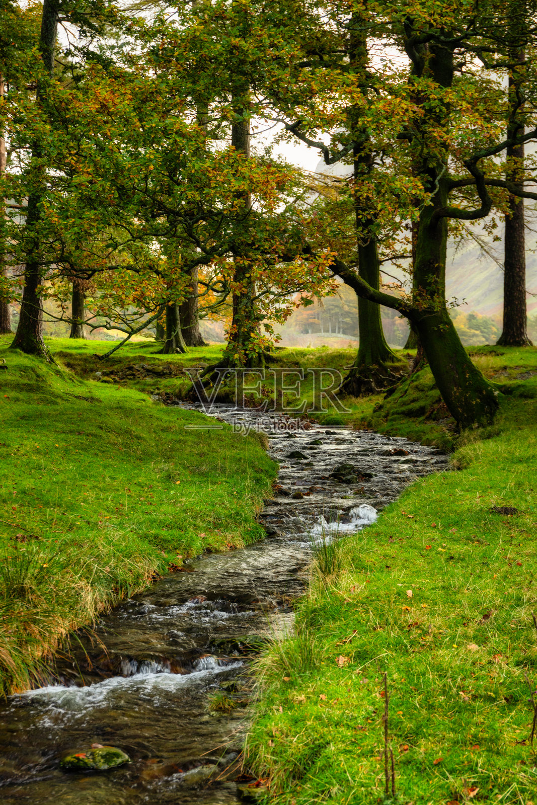 英格兰湖区国家公园美丽的秋季风景照片摄影图片