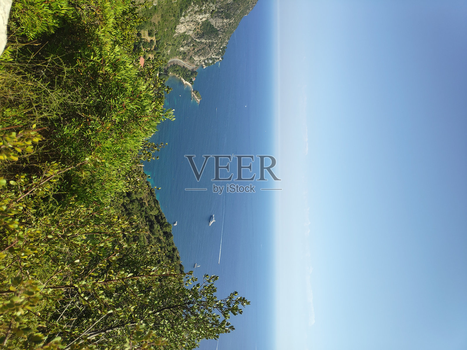 海滨景色，绿树成荫，蓝天晴朗照片摄影图片