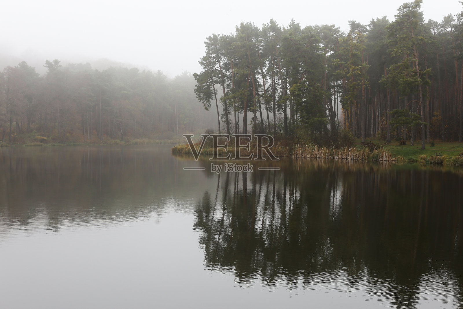 雾蒙蒙的湖泊风景。忧郁而神秘的氛围。雨天的水边。照片摄影图片