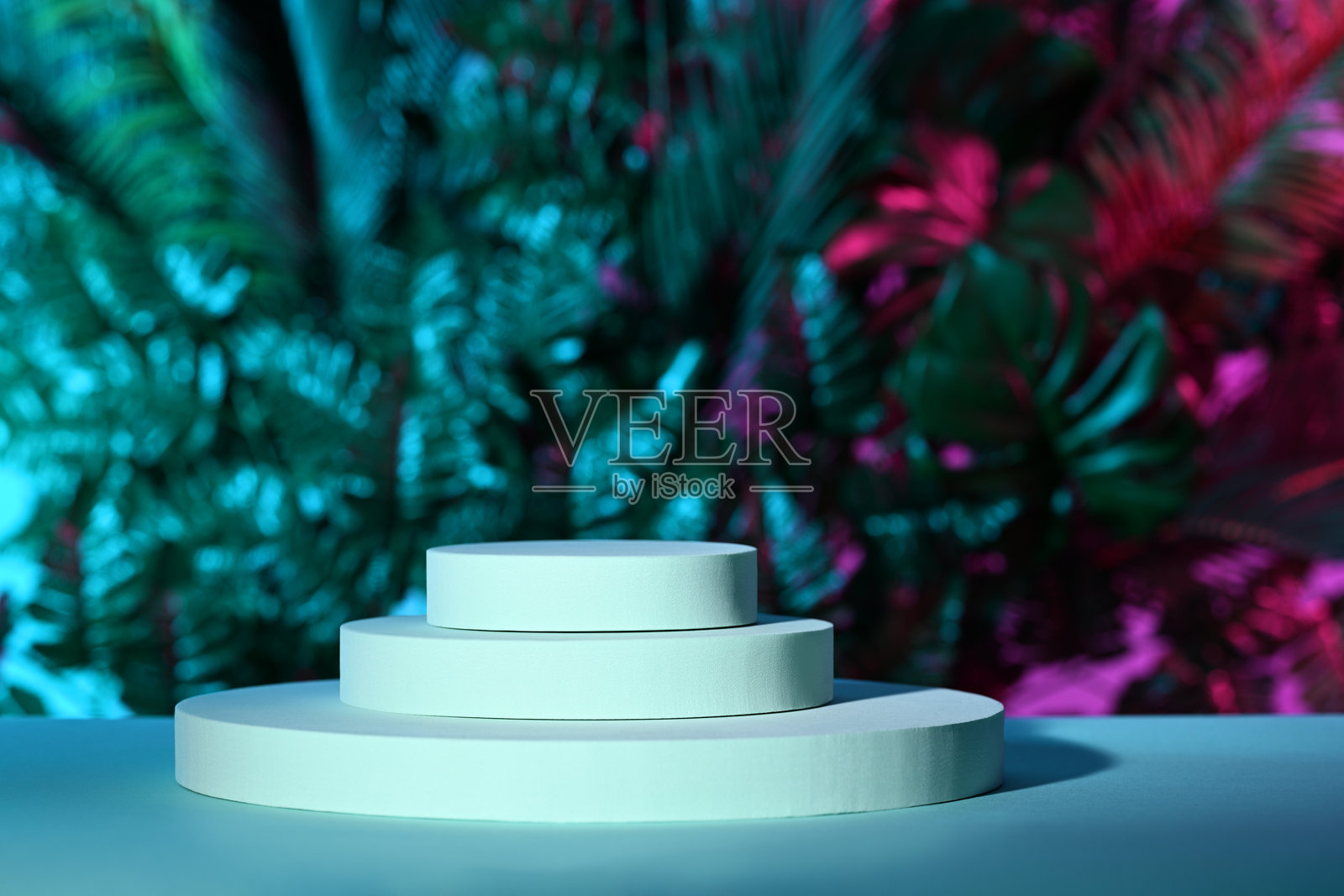 抽象热带模板照片摄影图片