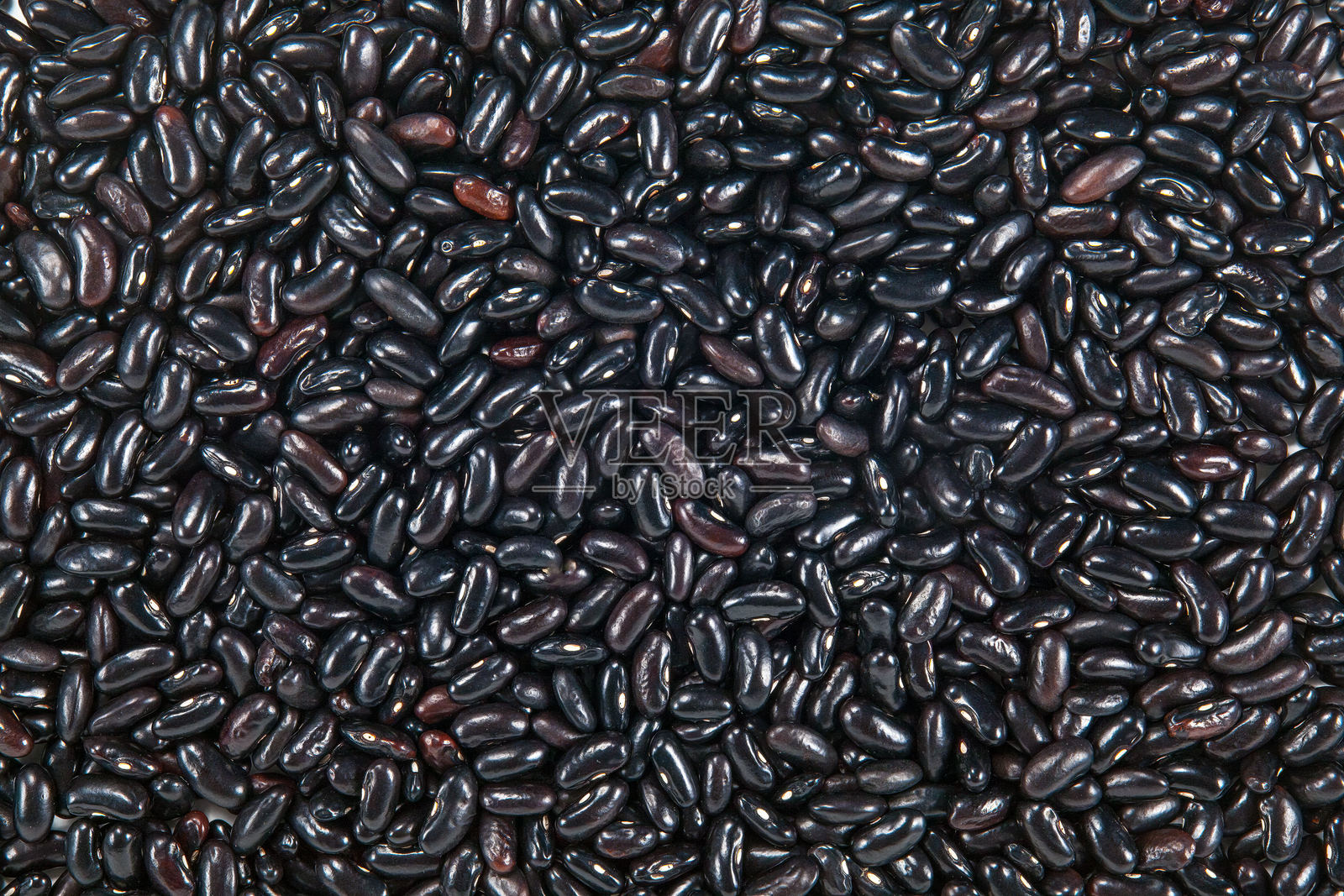 黑豆特写 - 农业种子背景照片摄影图片