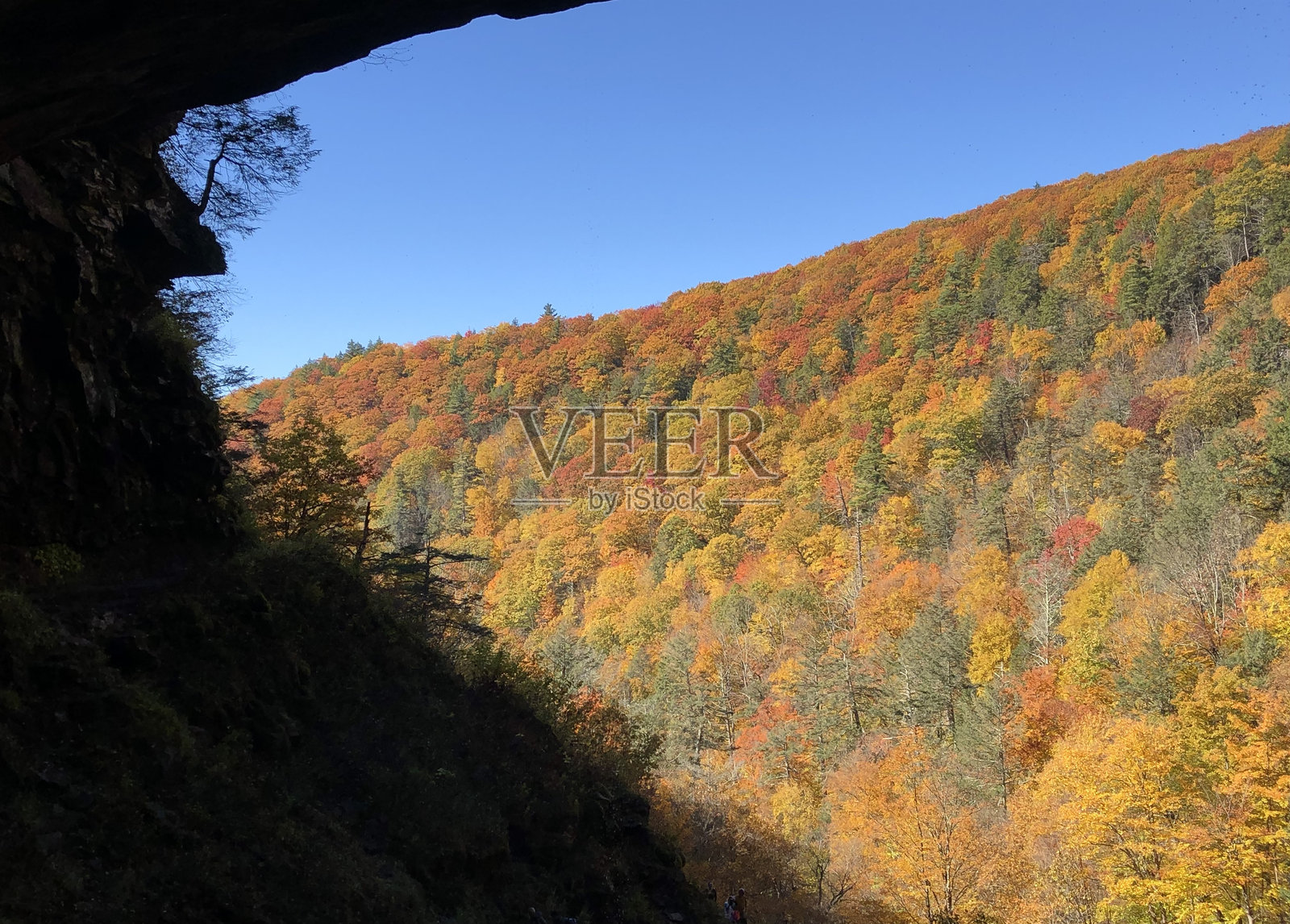 十月的纽约州卡特斯基尔山脉，靠近卡特斯基尔瀑布。照片摄影图片