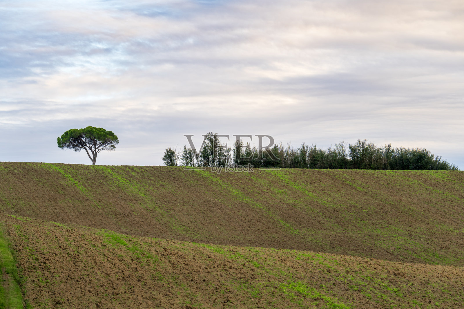卡斯特尔·德拉奎拉的山丘照片摄影图片