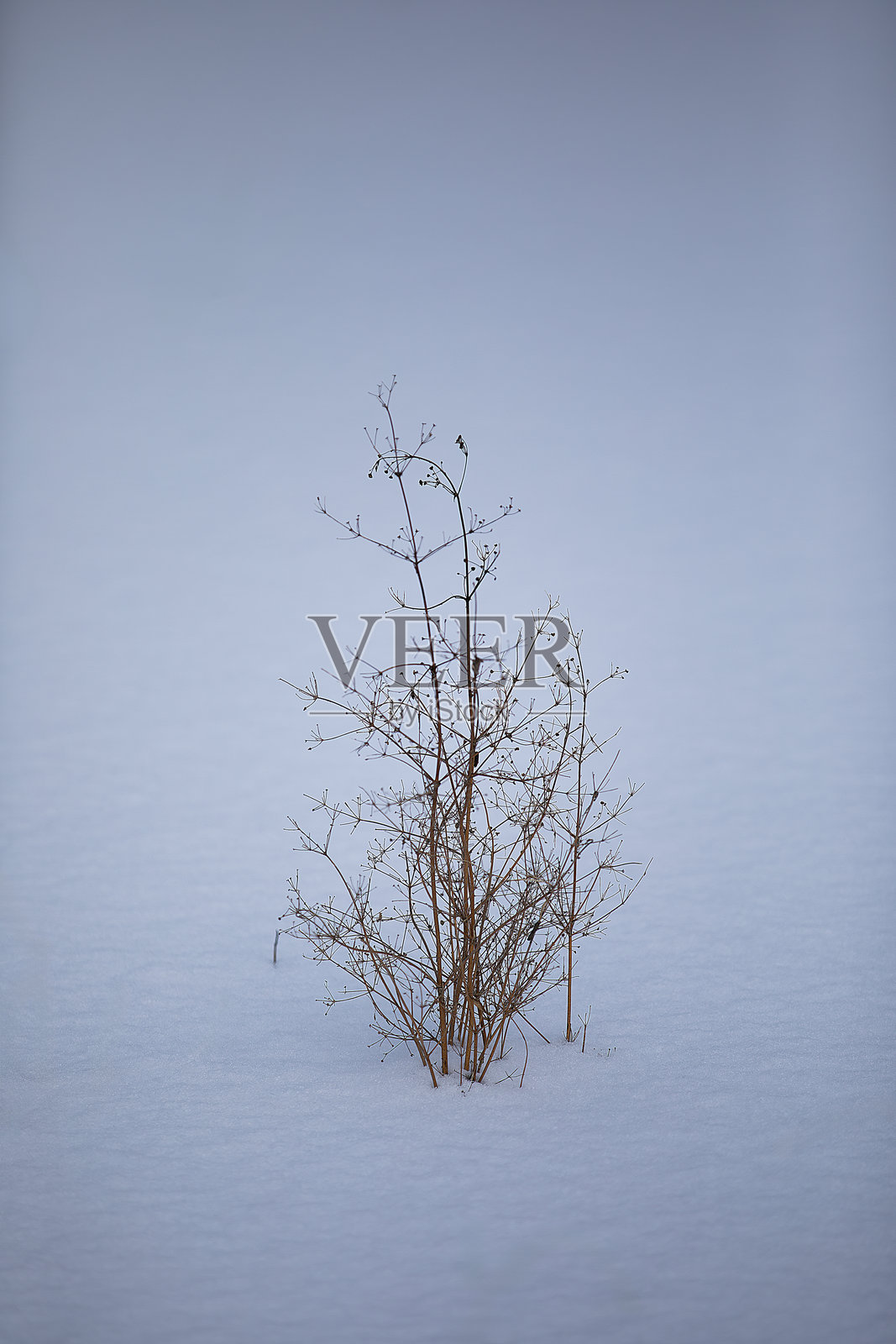 冬季风景照片摄影图片