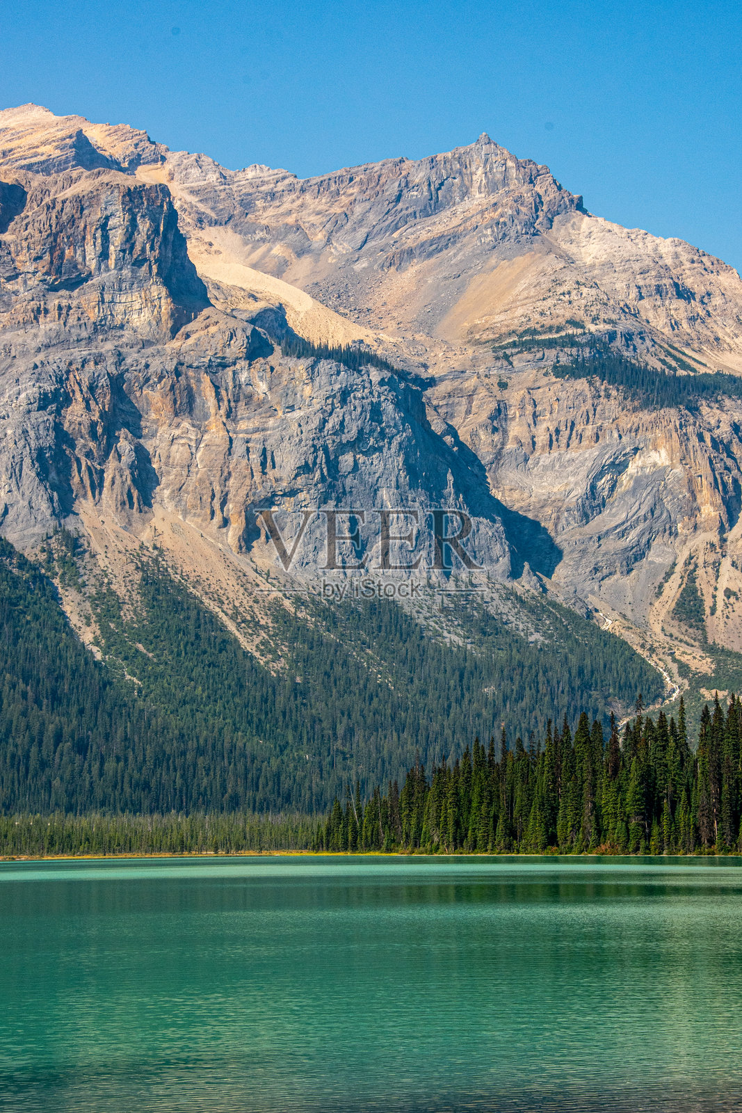 落基山脉在加拿大阿尔伯塔省约霍国家公园的美丽翡翠湖中倒影。照片摄影图片