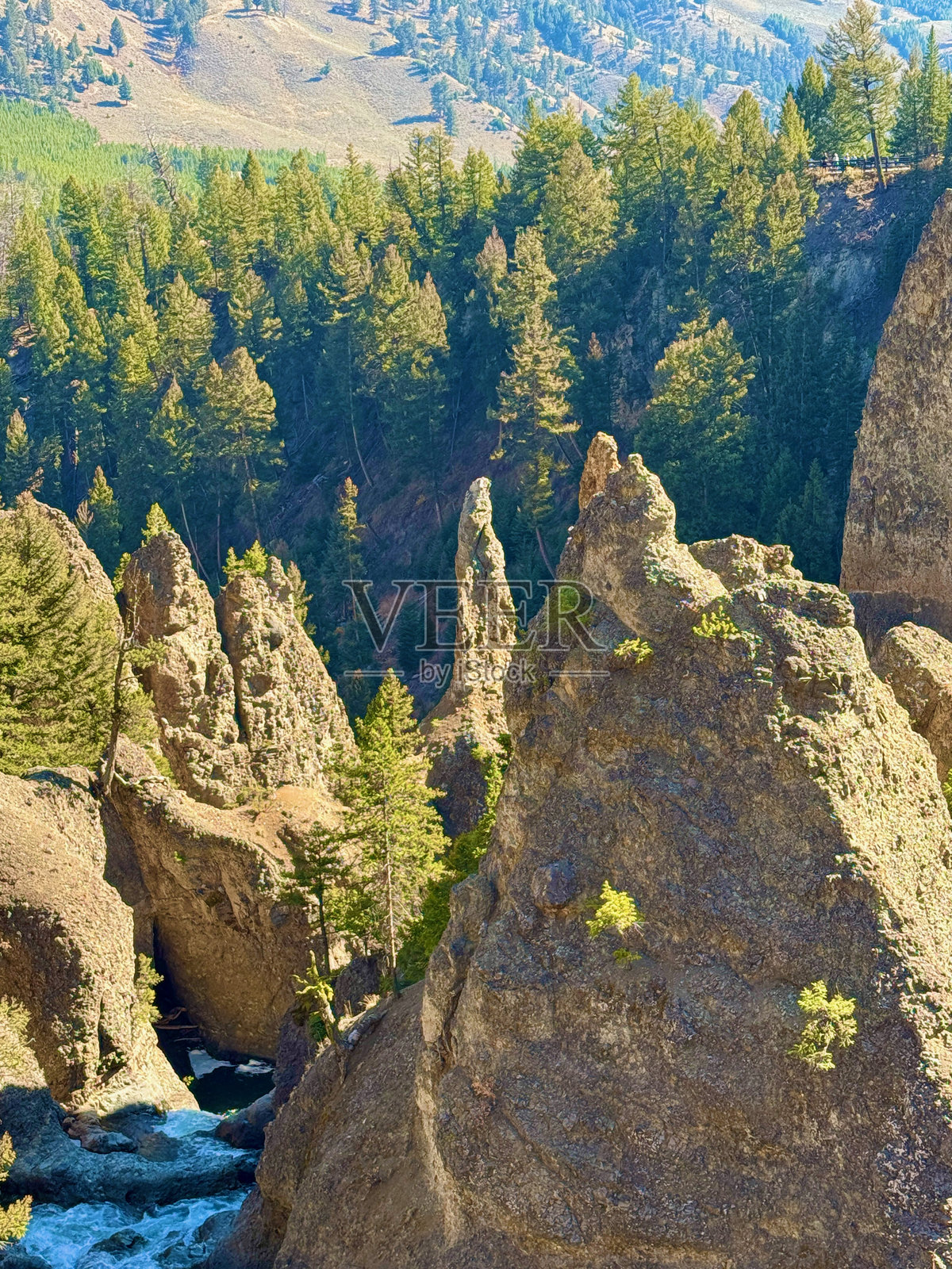 塔罗山-罗斯福和黄石国家公园东北部照片摄影图片