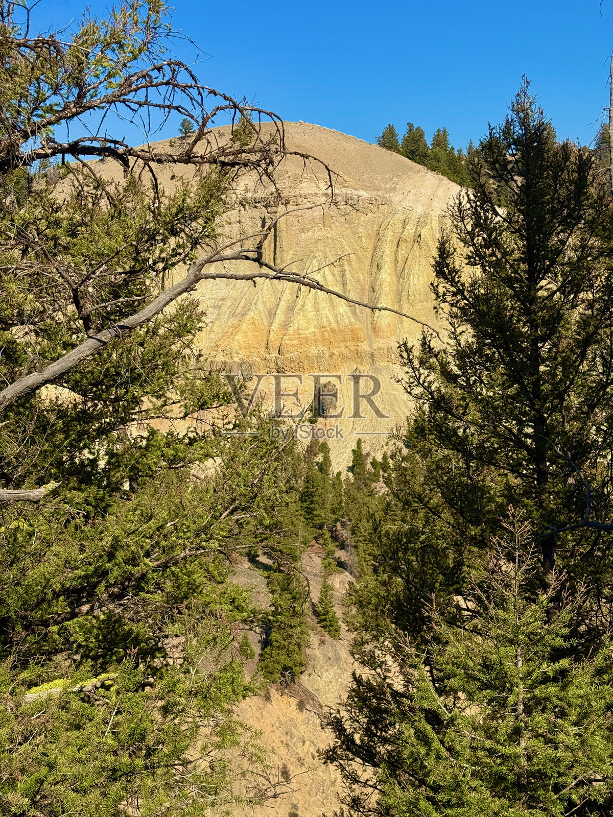 塔罗山-罗斯福和黄石国家公园东北部照片摄影图片