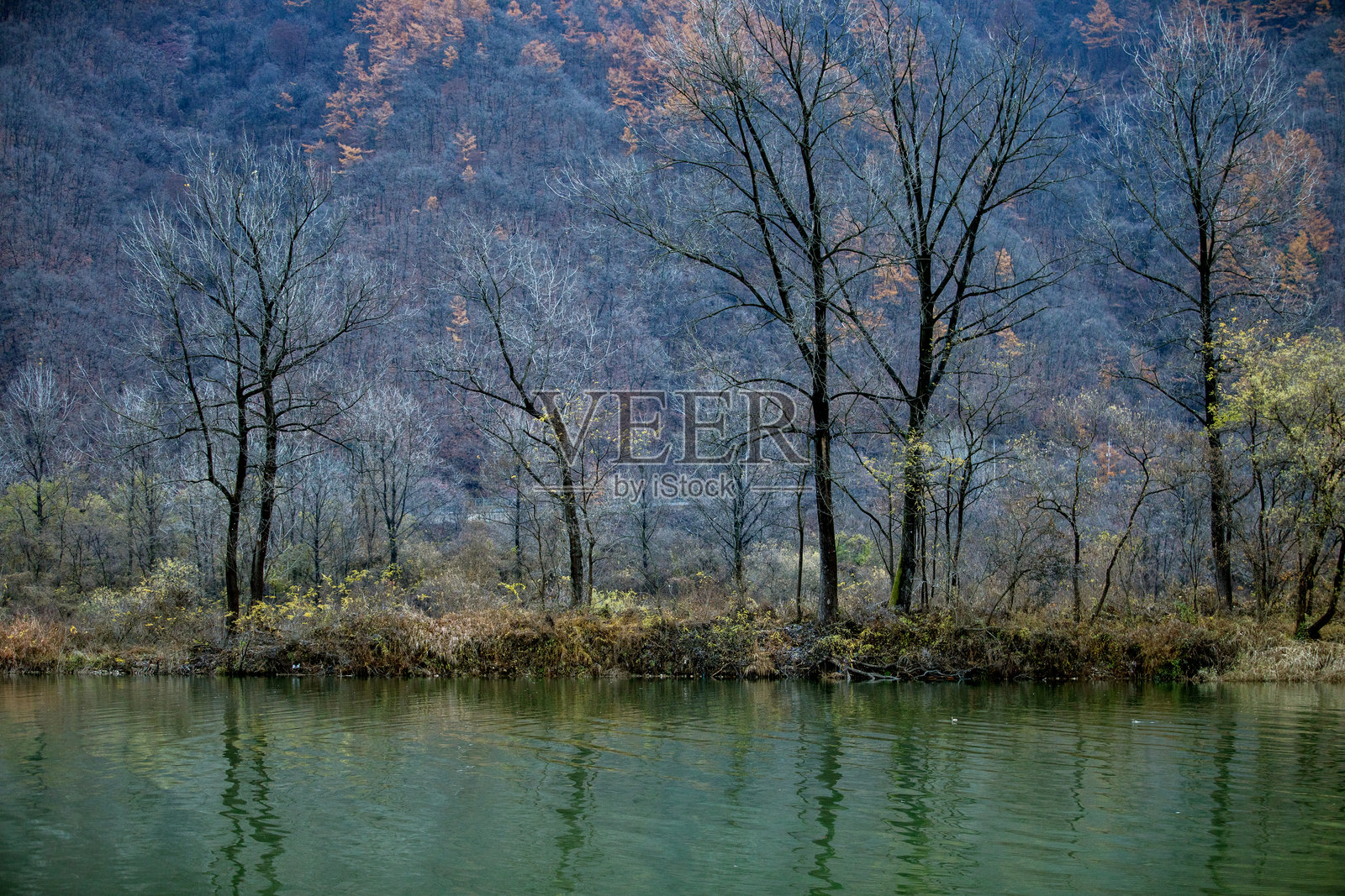 河边风景照片摄影图片
