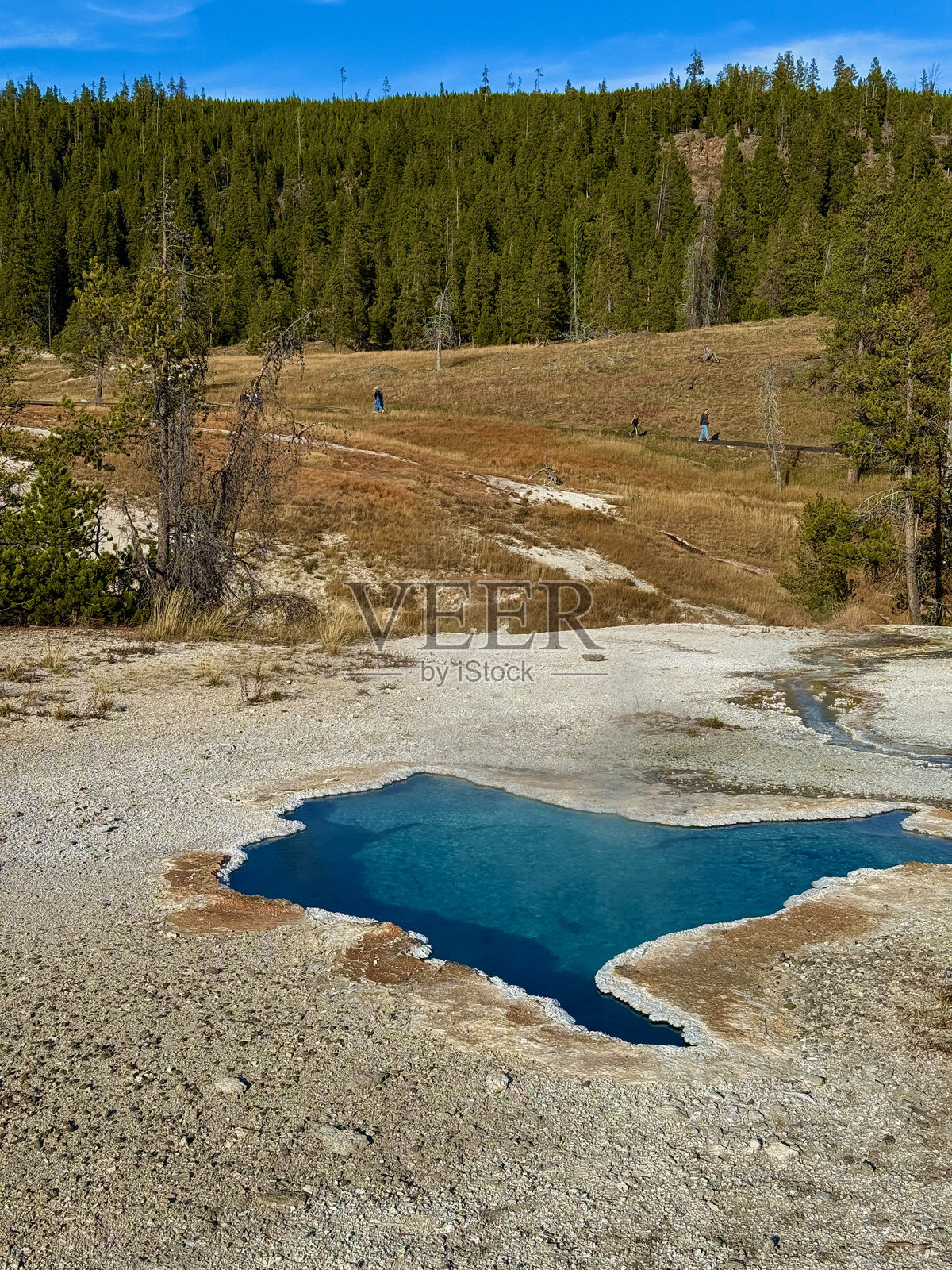 黄石国家公园的上间歇泉盆地照片摄影图片