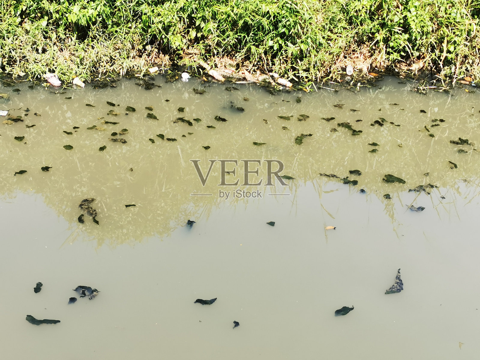 浑浊水域的河流照片摄影图片