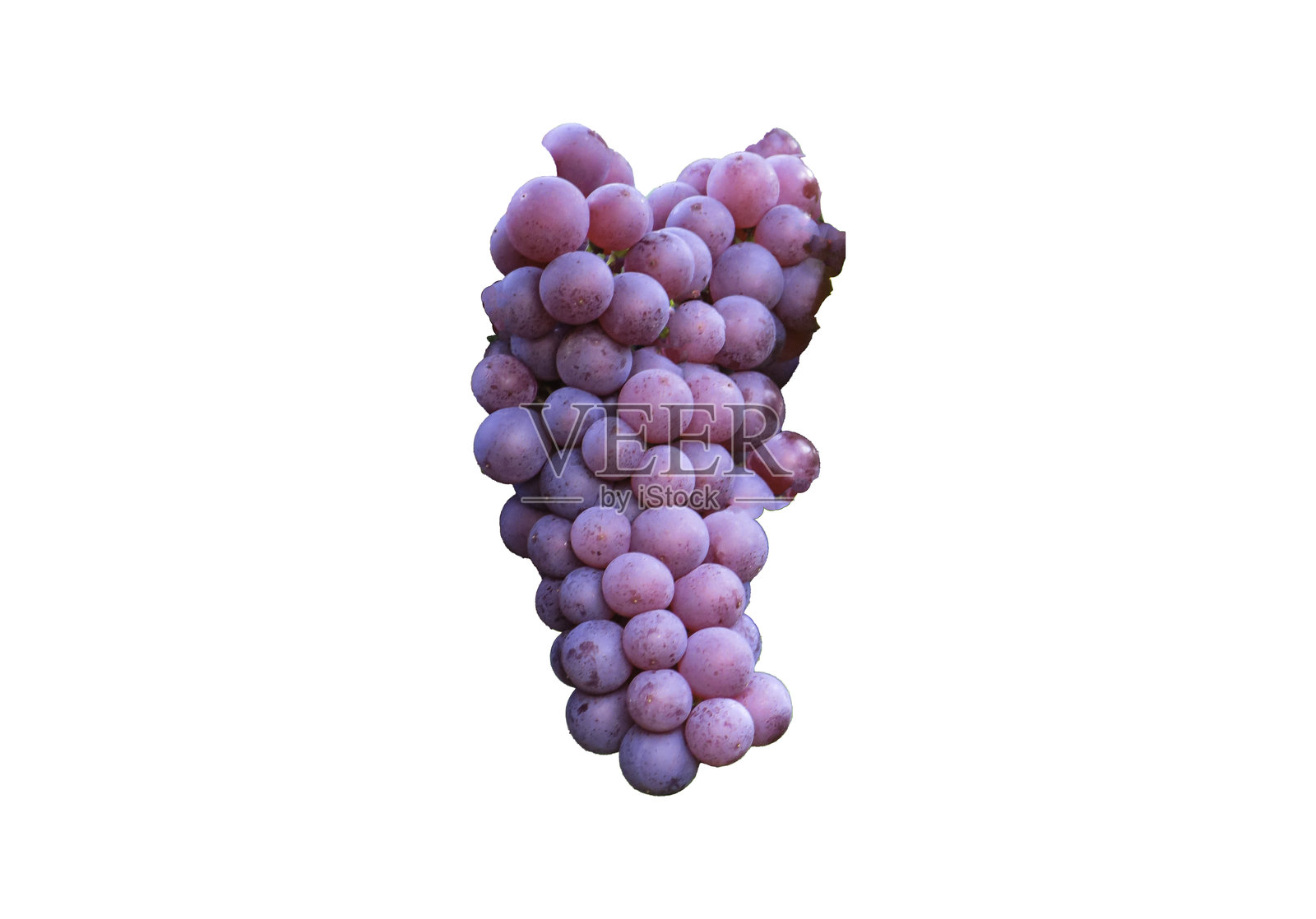 紫色葡萄在工作室中孤立展示照片摄影图片