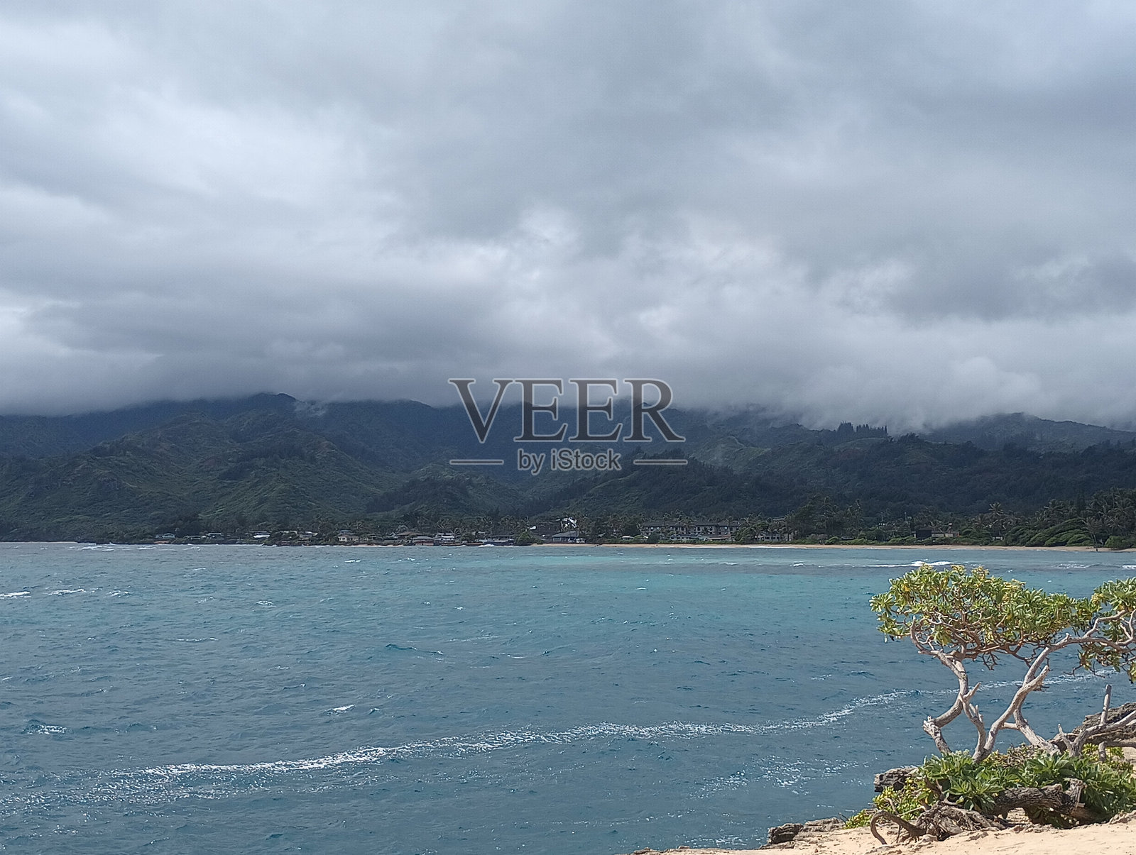 海洋照片摄影图片