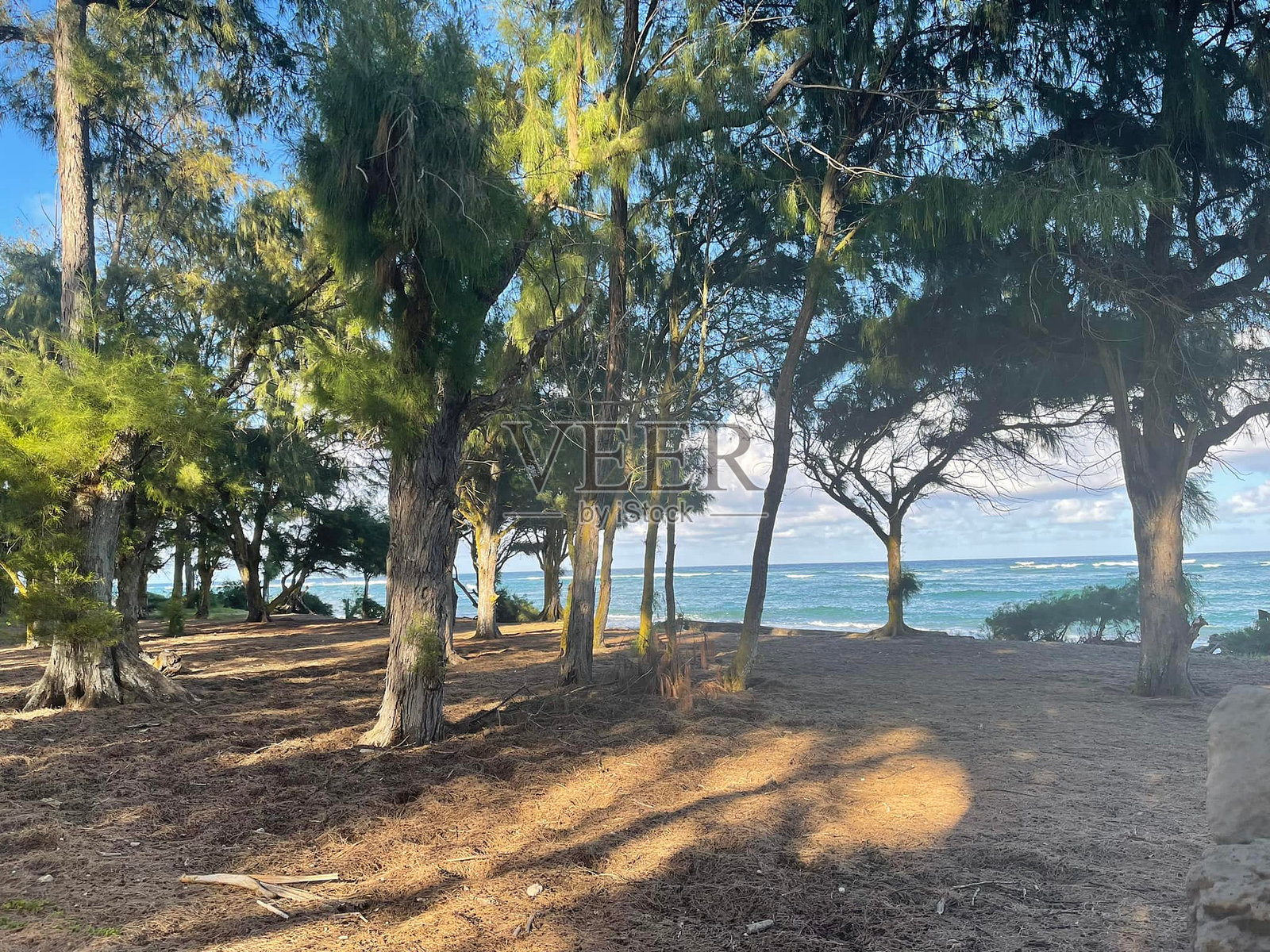 阳光洒落的海岸线照片摄影图片