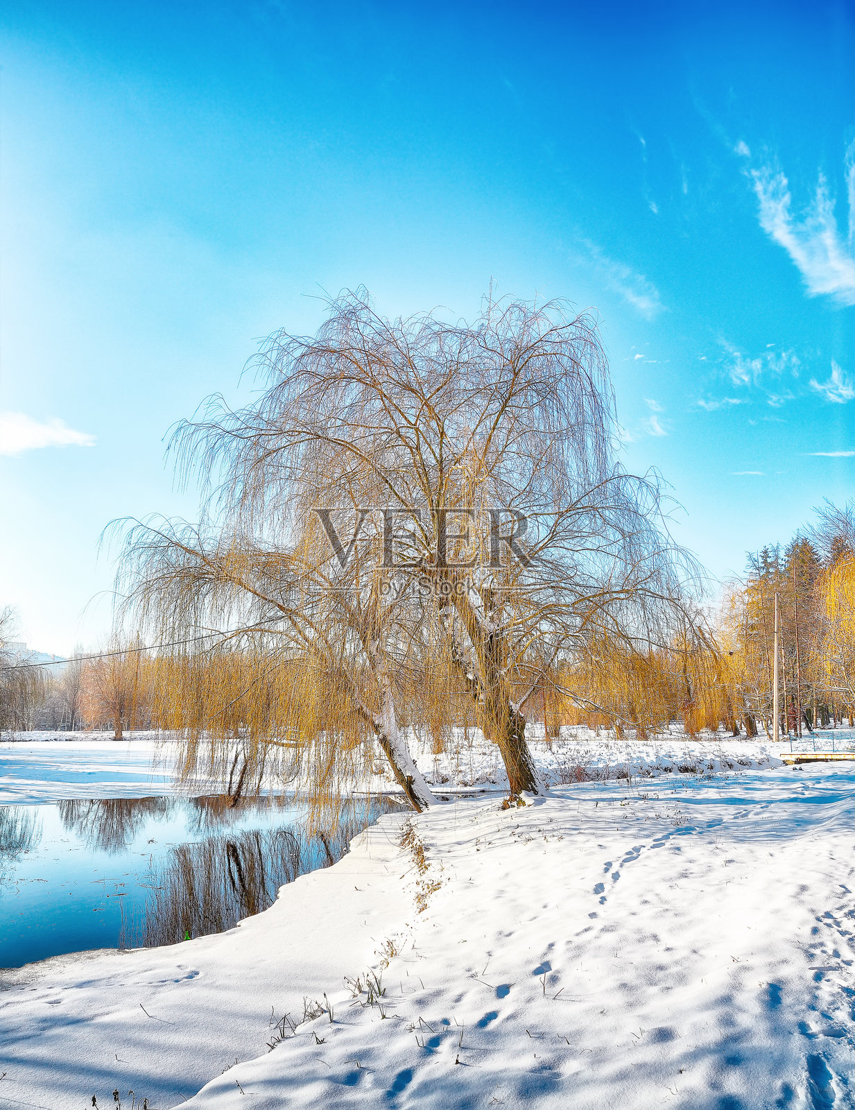 壮丽的雪树景观，美丽的冰冻河流在水中倒影。照片摄影图片