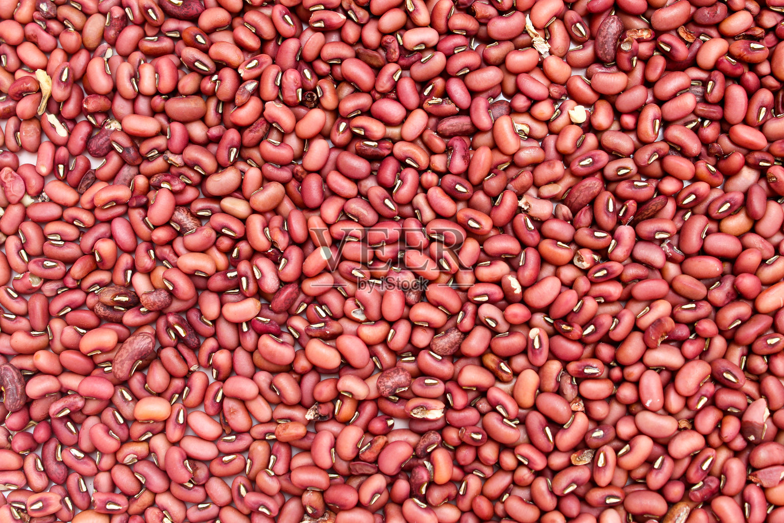 红豆纹理特写。赤小豆背景。豆子上的红色图案。角豆。照片摄影图片