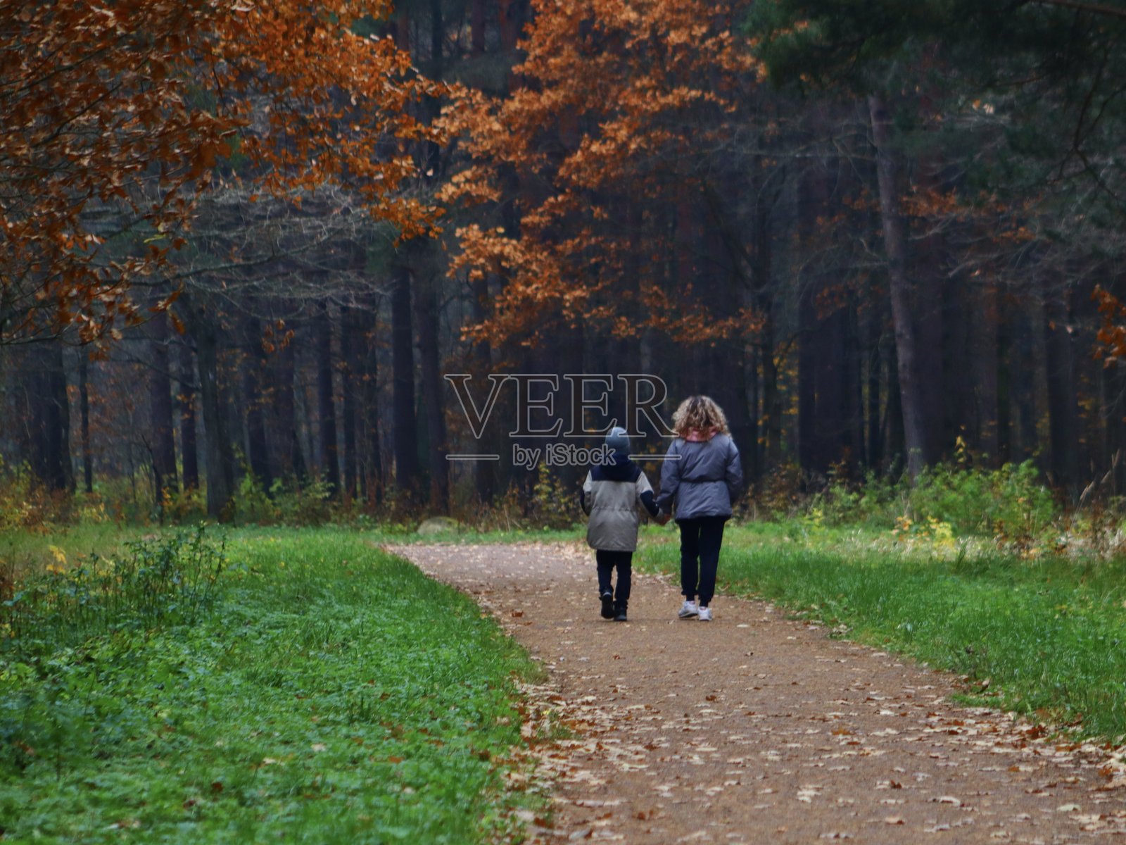 人们在秋天的公园里散步照片摄影图片