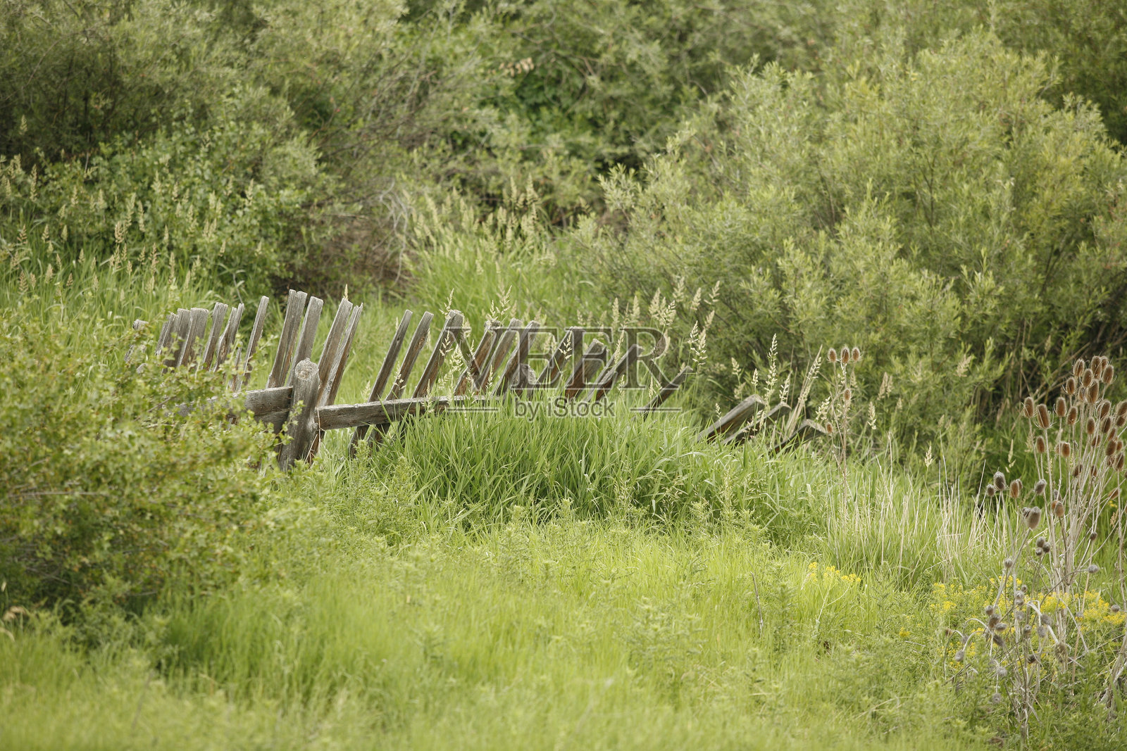 草坪围栏乐园照片摄影图片